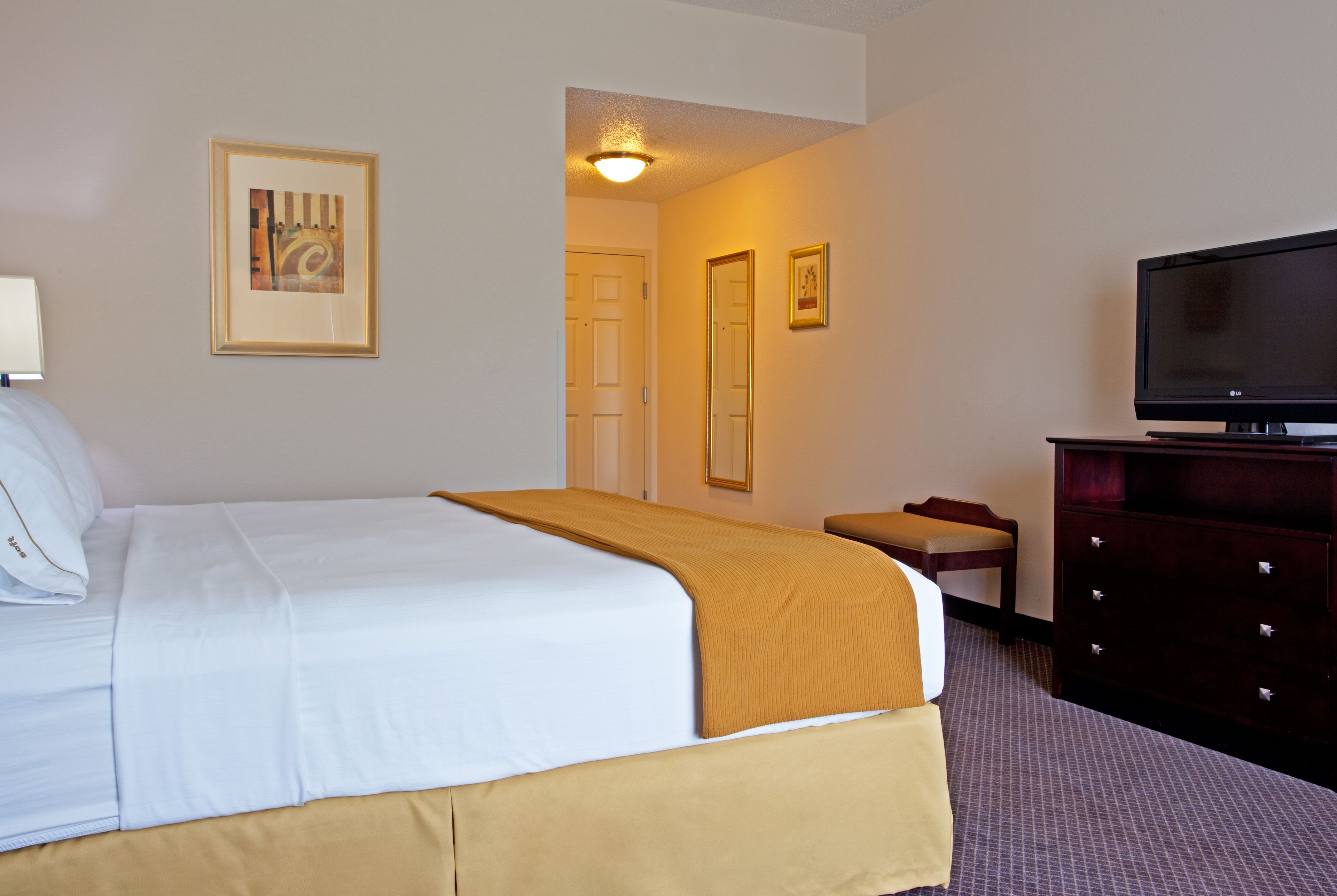 Holiday Inn Express & Suites Chicago West-O'Hare Airport Area