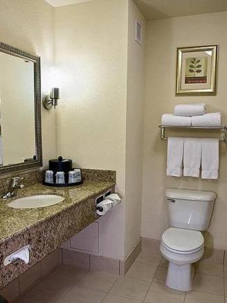 Holiday Inn Express & Suites Chicago West-O'Hare Airport Area