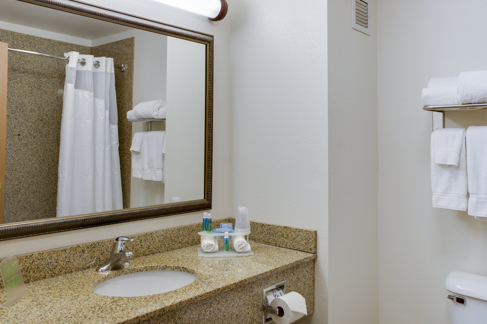 Holiday Inn Express Hotel & Suites Jacksonville