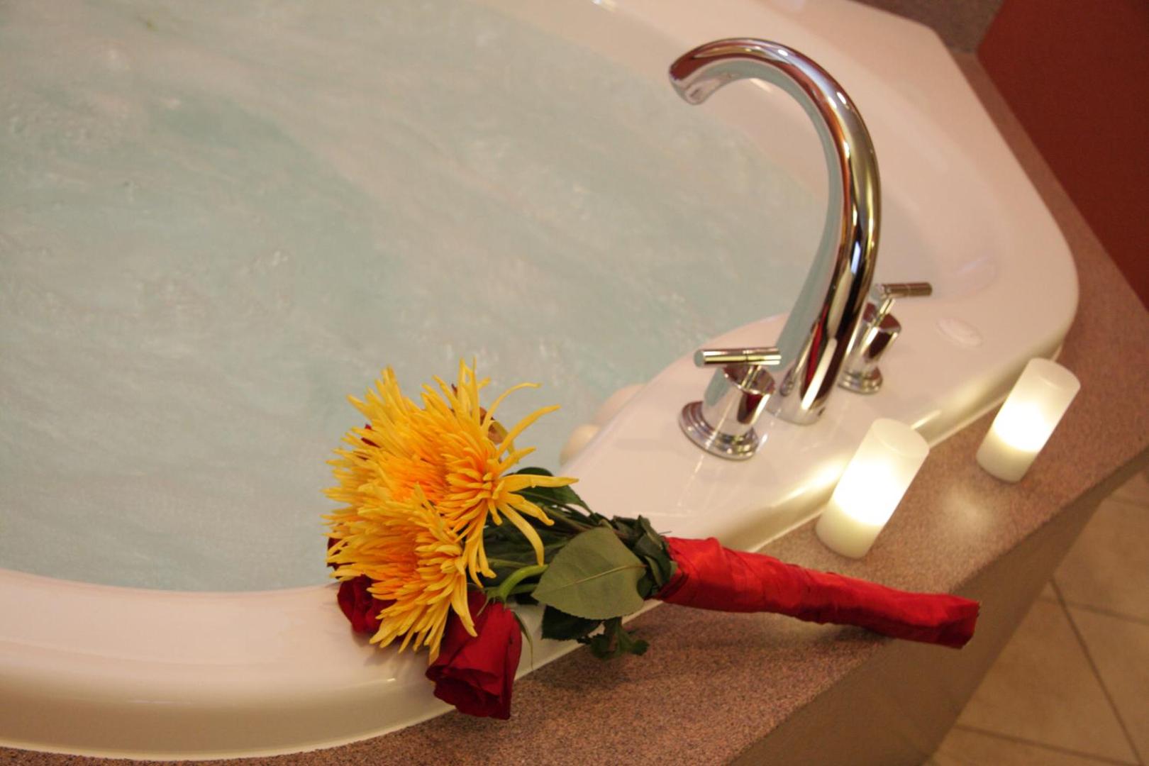 Hampton Inn Joliet - I-55