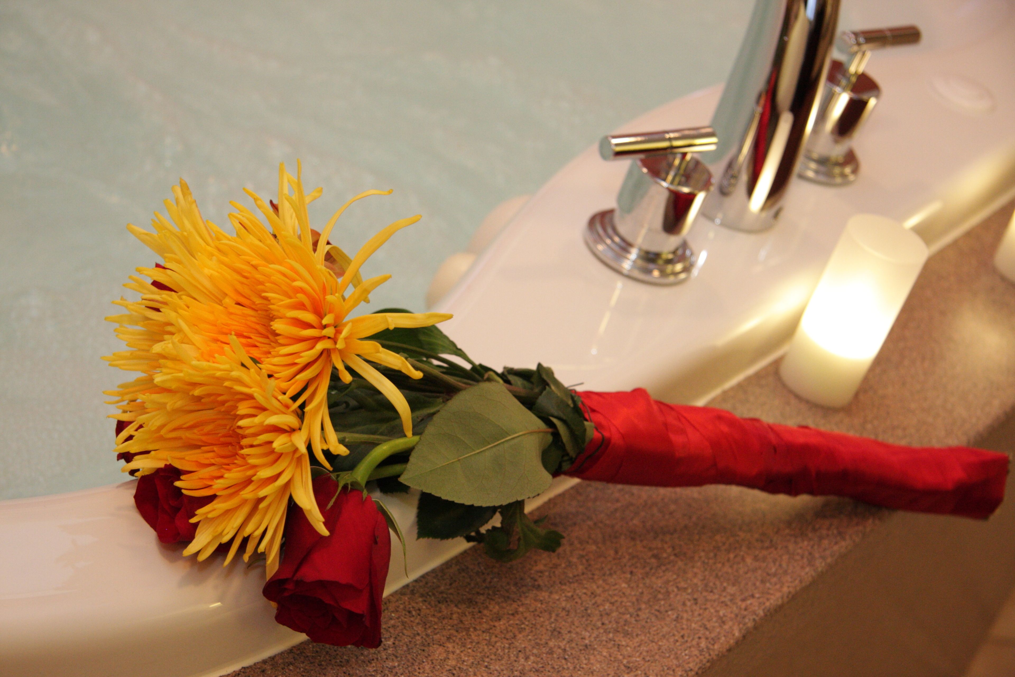 Hampton Inn Joliet - I-55