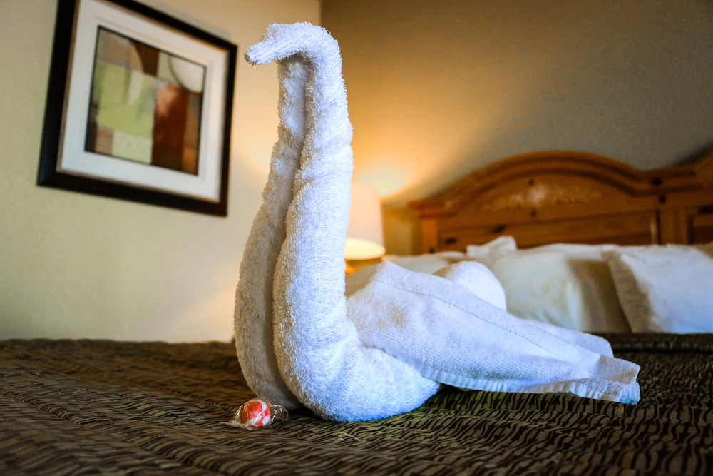 Suite Dreams Hotel