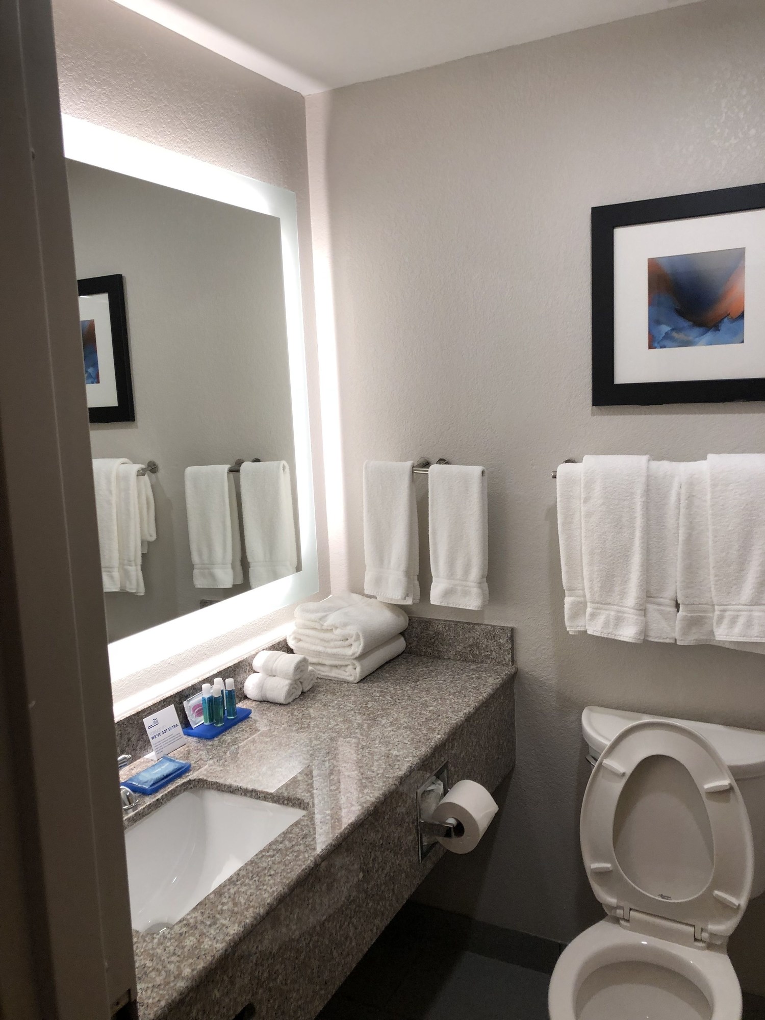 Holiday Inn Express Metropolis