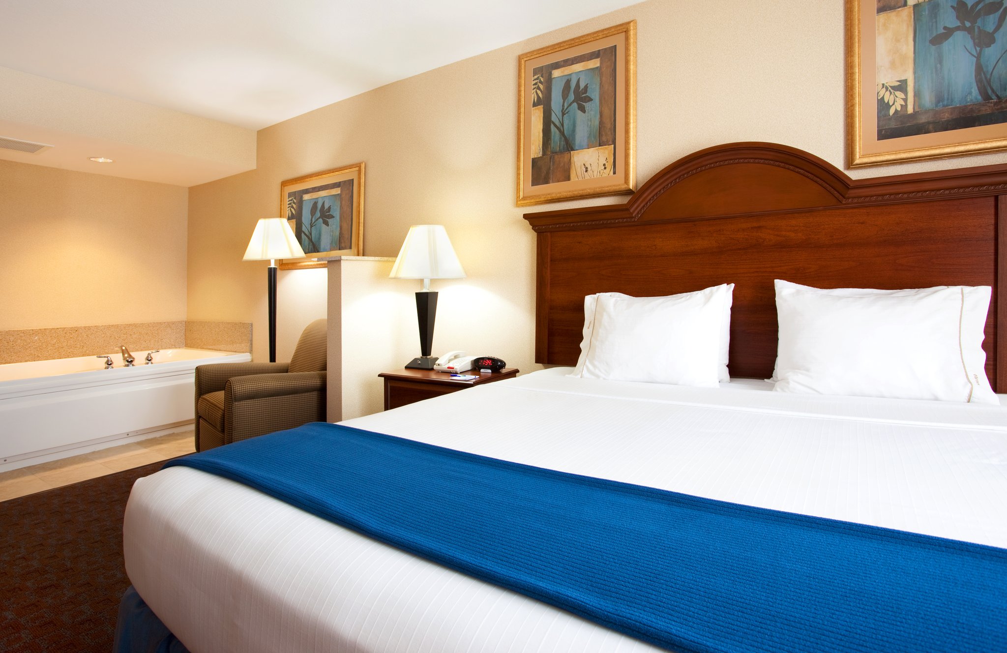 Holiday Inn Express Hotel & Suites Morris