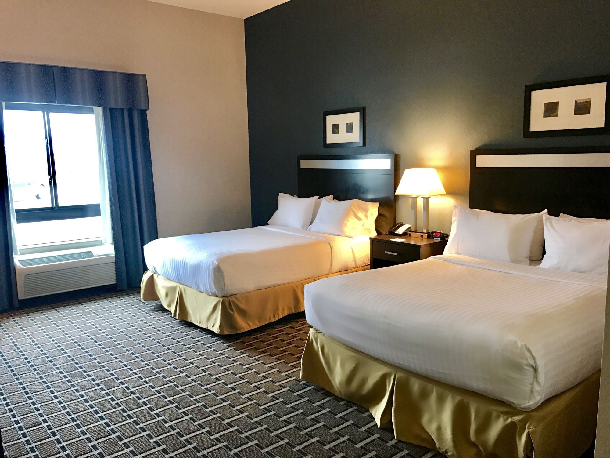 Holiday Inn Express Hotel & Suites Morton Peoria Area