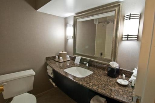 Holiday Inn Express Rolling Meadows - Schaumburg Area