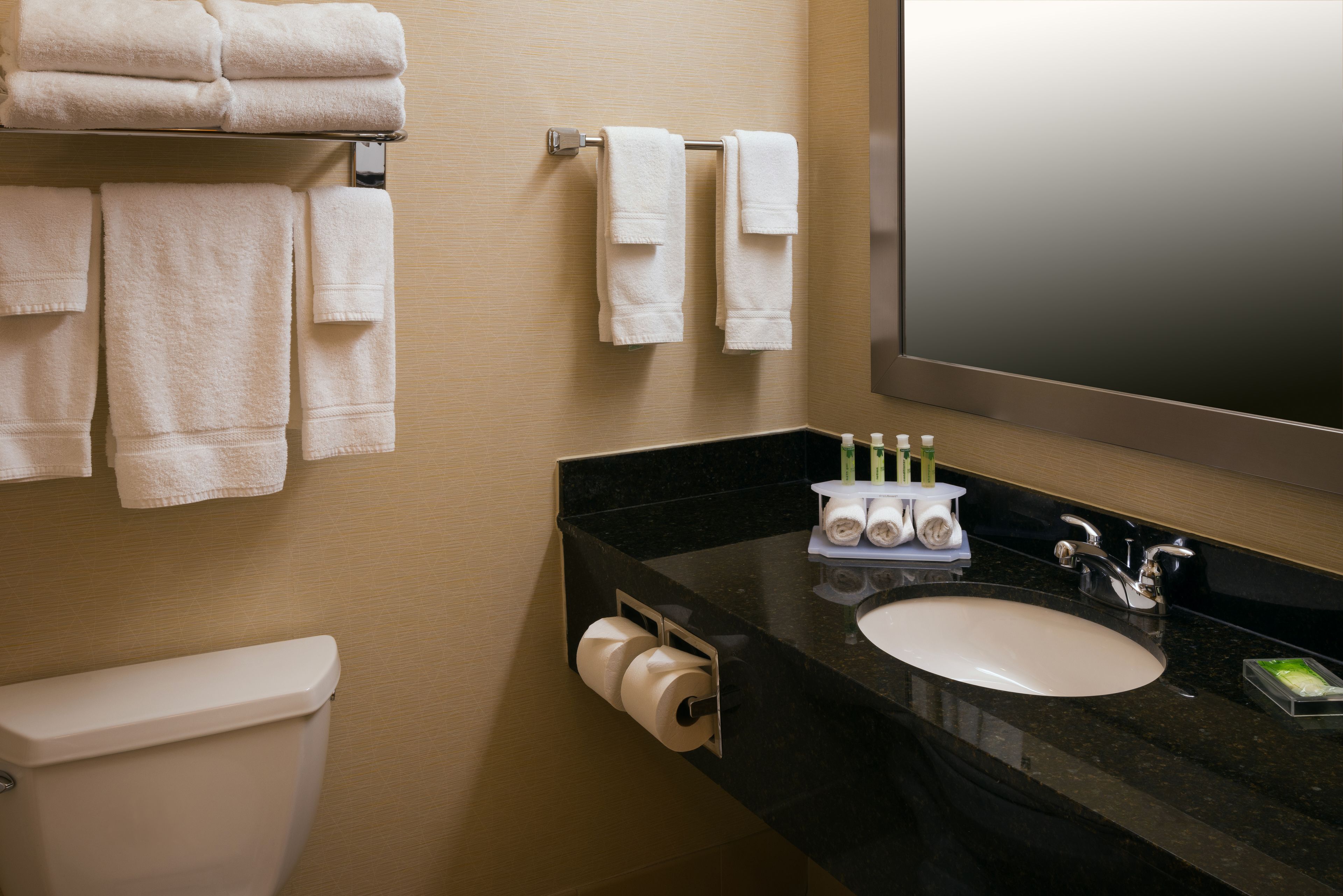 Holiday Inn Express & Suites Chicago West-Roselle