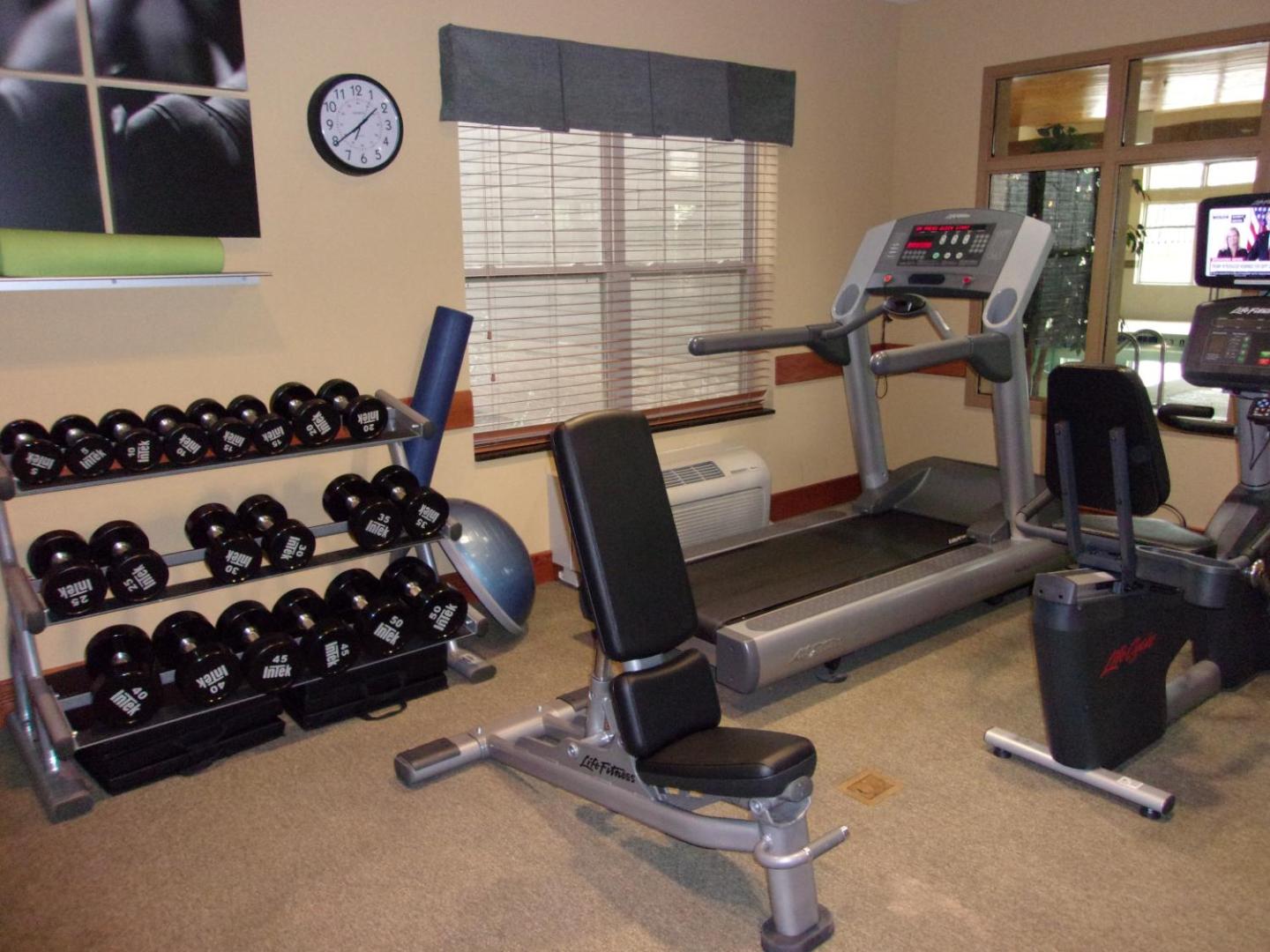 Holiday Inn Express & Suites Chicago West-Roselle