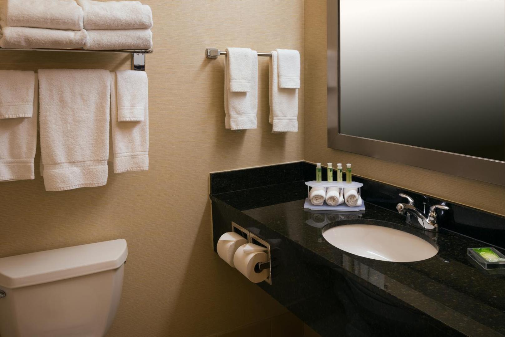 Holiday Inn Express & Suites Chicago West-Roselle