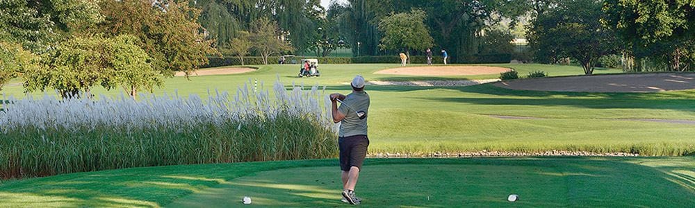 Pheasant Run Resort