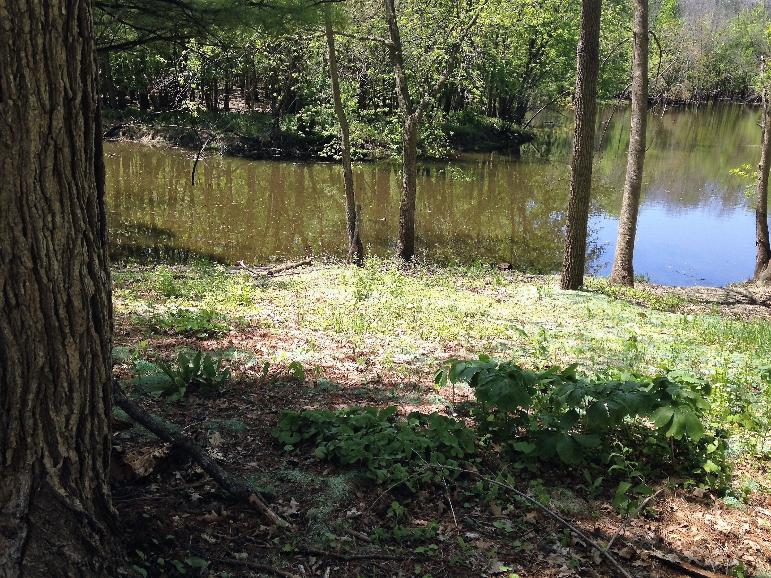 Montcler Hotel & Conference Center Trademark Collection by Wyndham