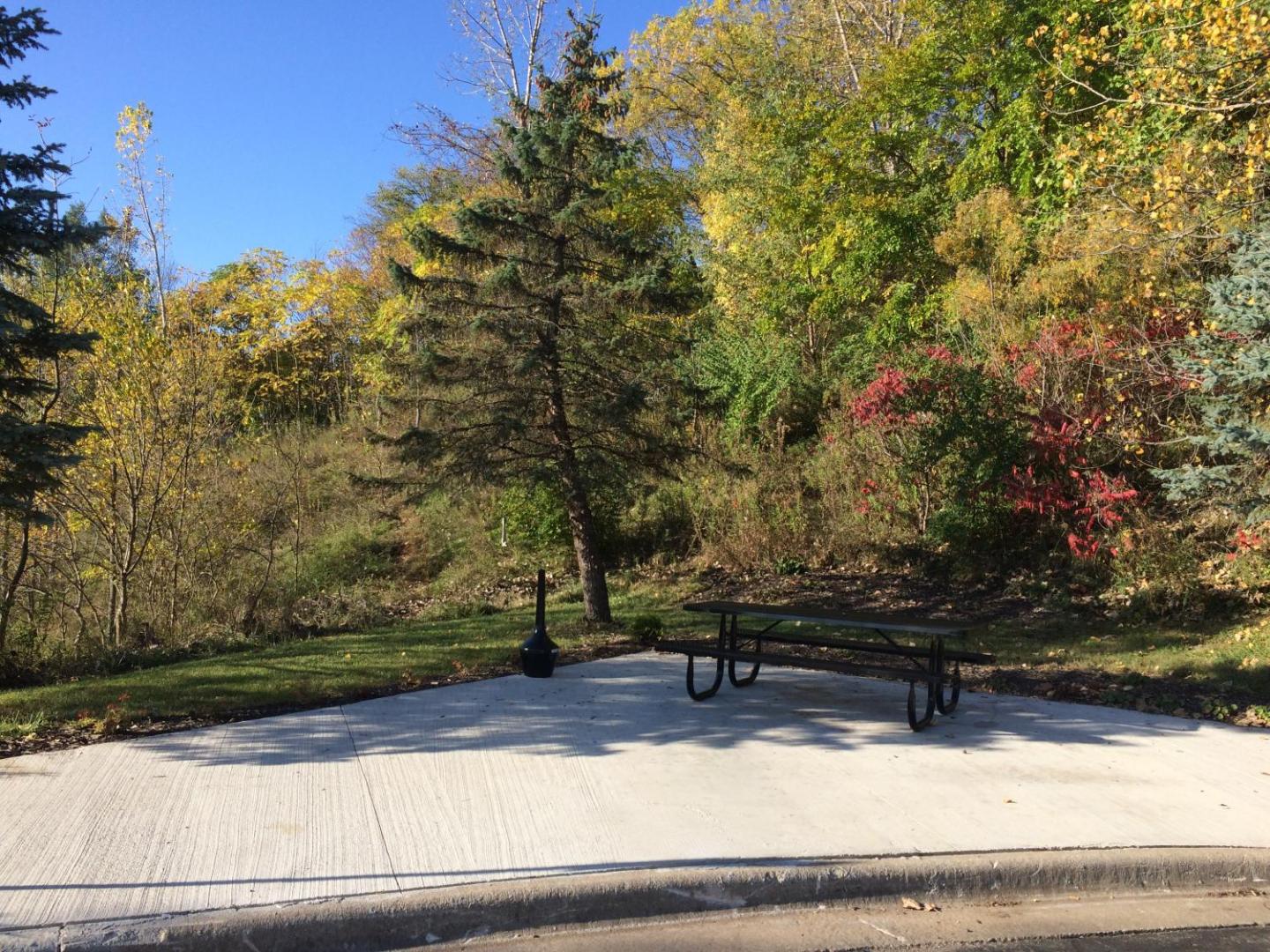 Savanna Inn & Suites