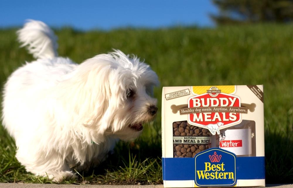 Best Western Paradise Inn