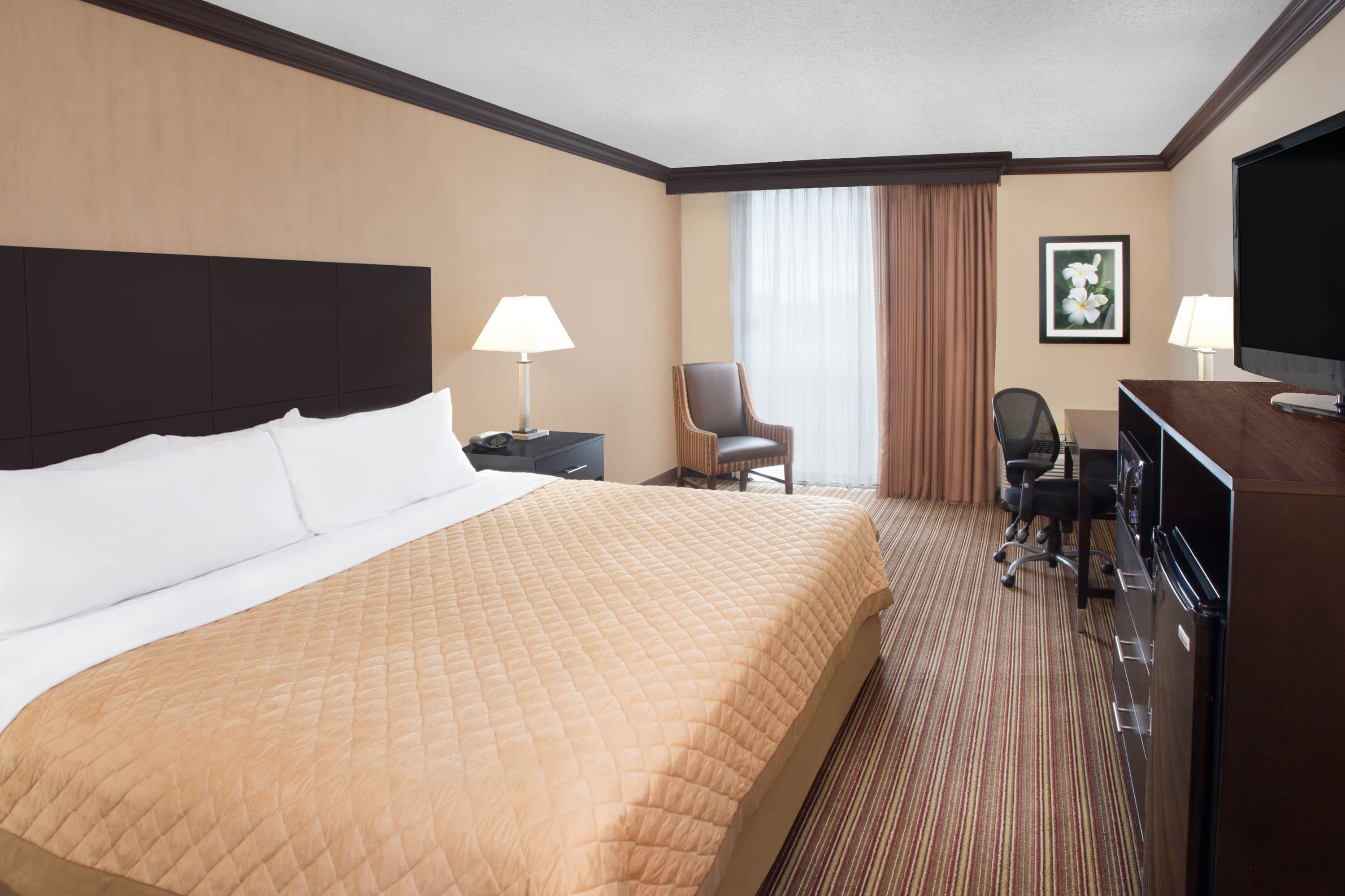 Wyndham Garden Schaumburg Chicago Northwest