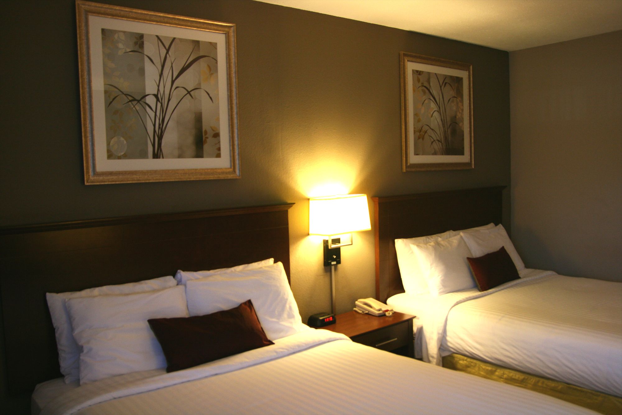 Carpenter Street Hotel