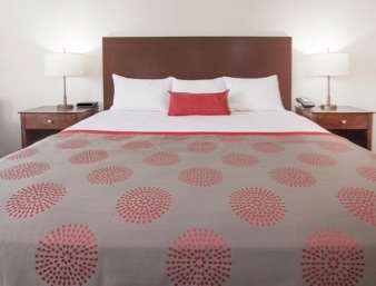 Best Western University Inn