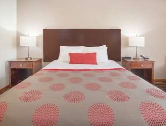 Best Western University Inn