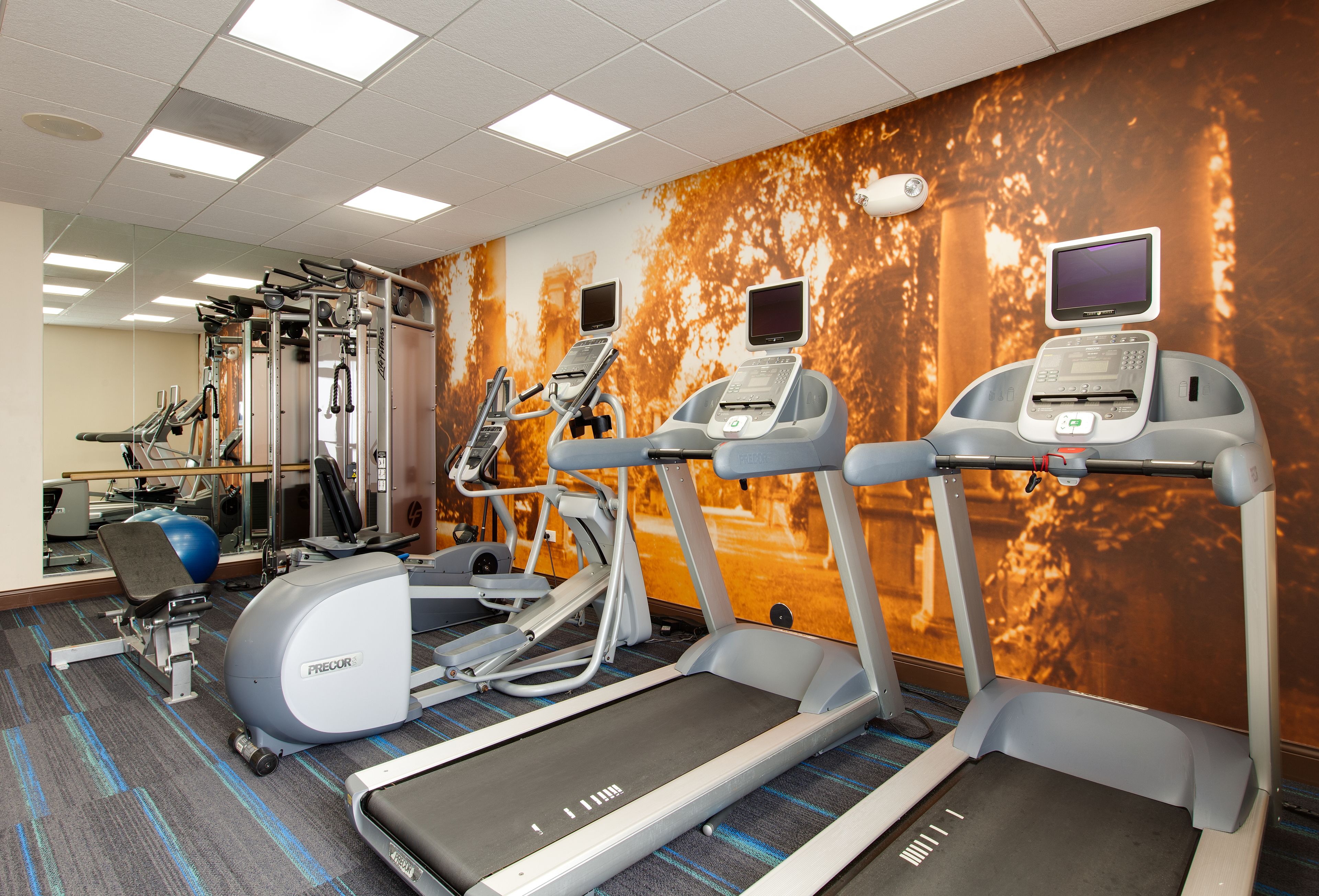 Hotel Indigo Chicago-Vernon Hills