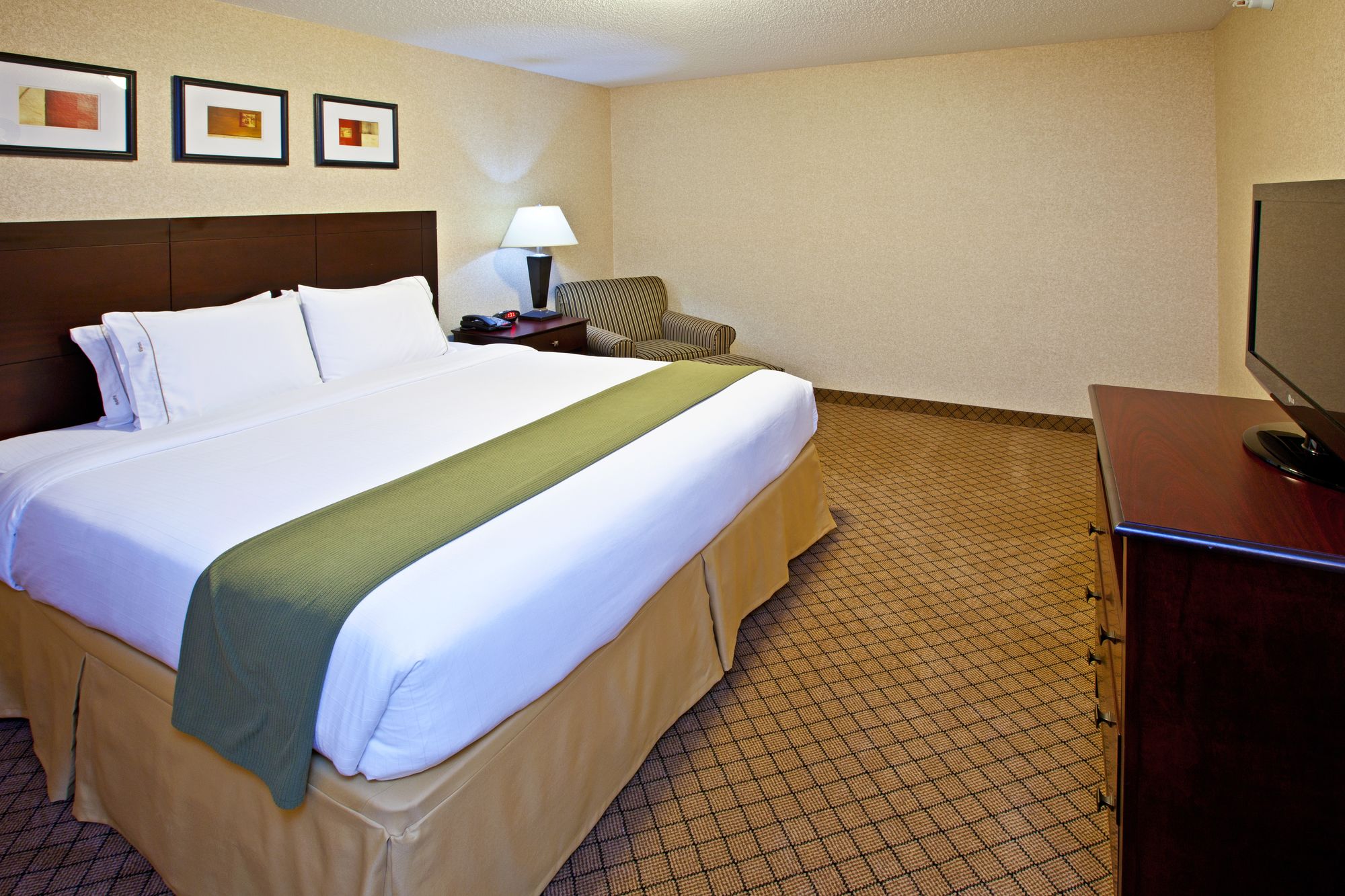 Holiday Inn Express Hotel & Suites Anderson