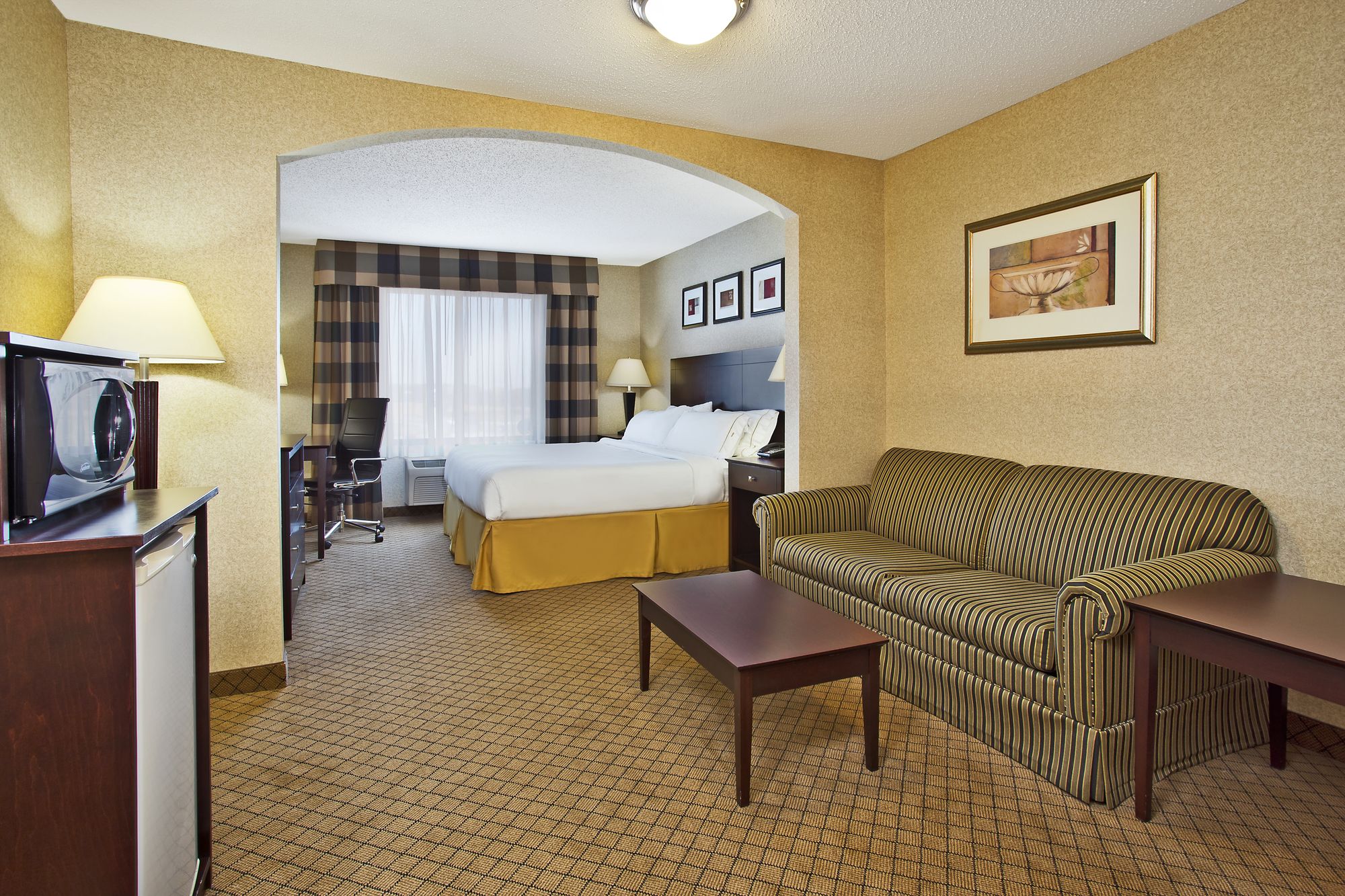 Holiday Inn Express Hotel & Suites Anderson