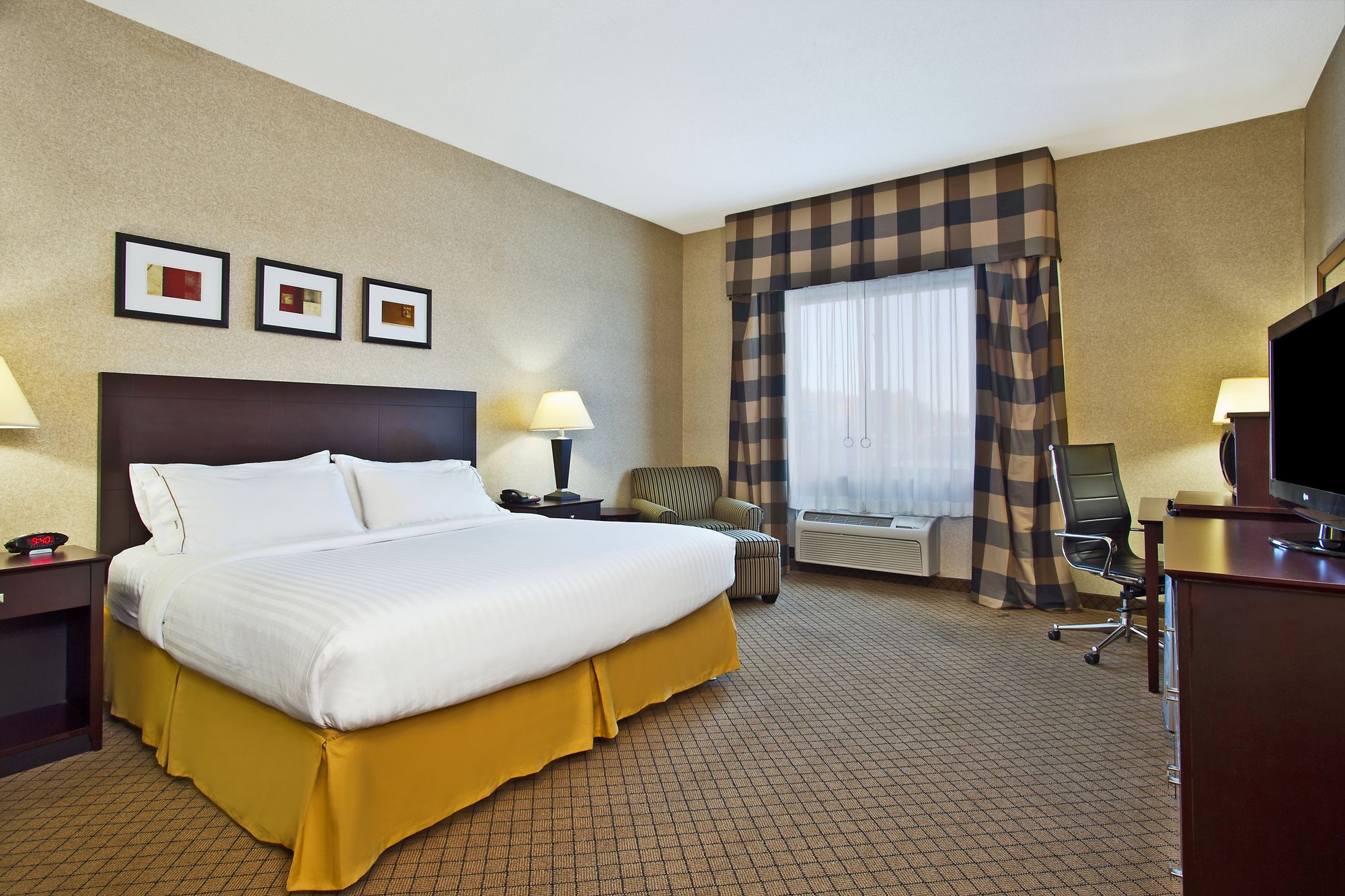 Holiday Inn Express Hotel & Suites Anderson