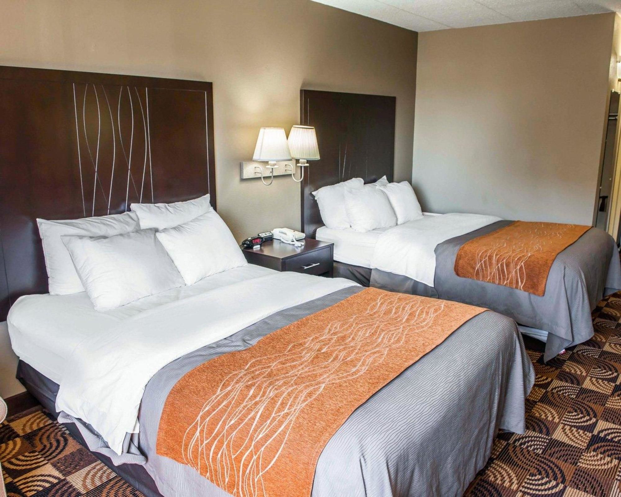 Comfort Inn & Suites North at the Pyramids