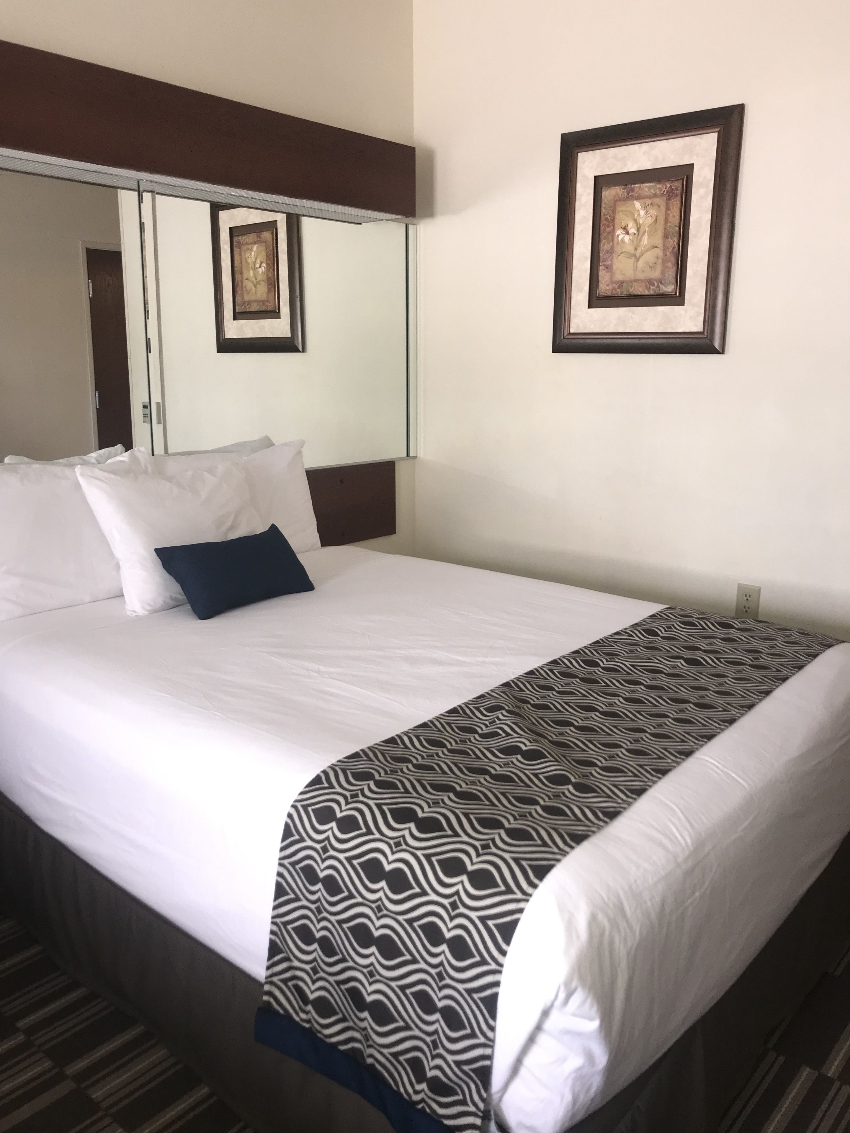 Microtel Inn & Suites by Wyndham Indianapolis Airport