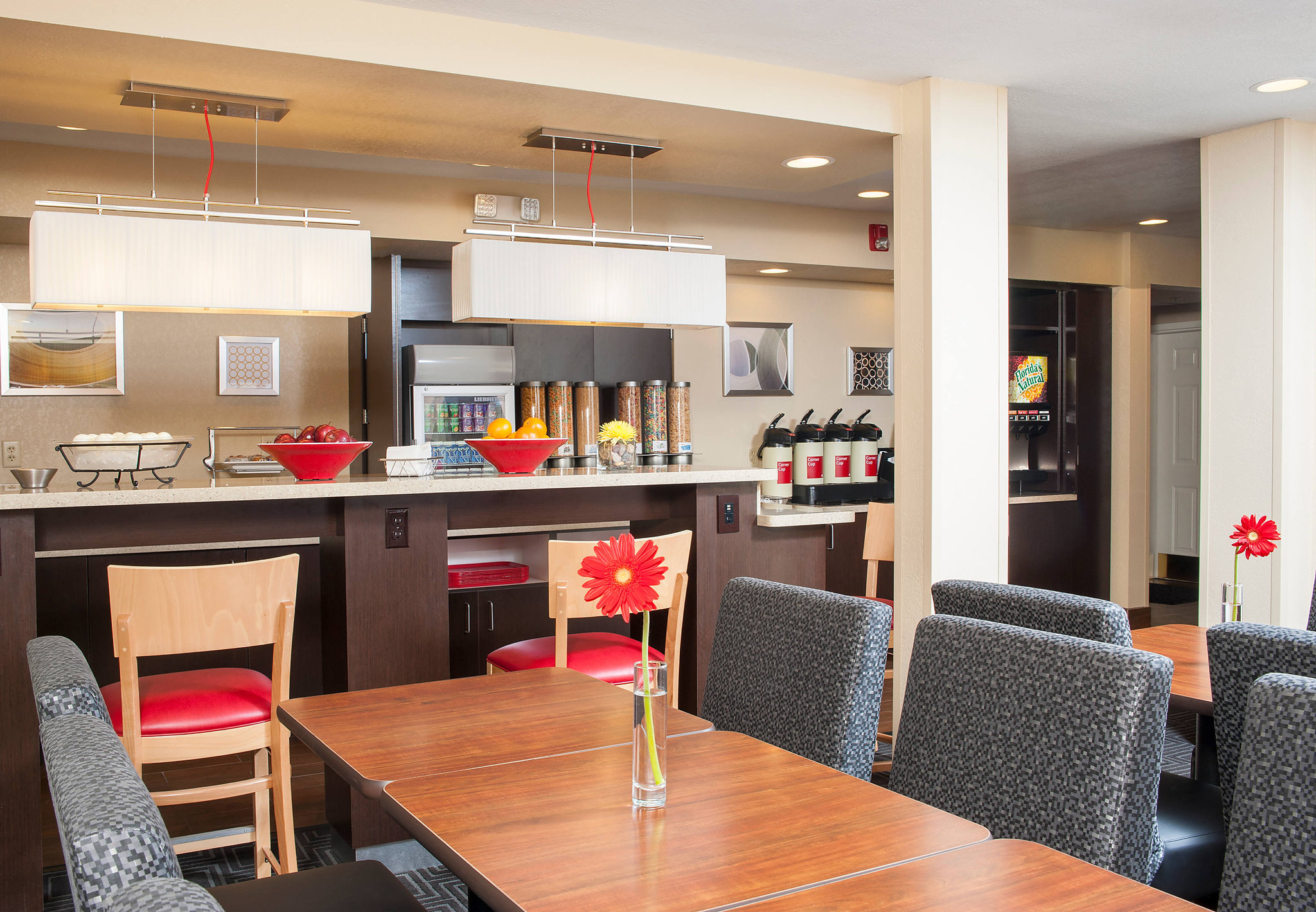 TownePlace Suites Indianapolis Park 100