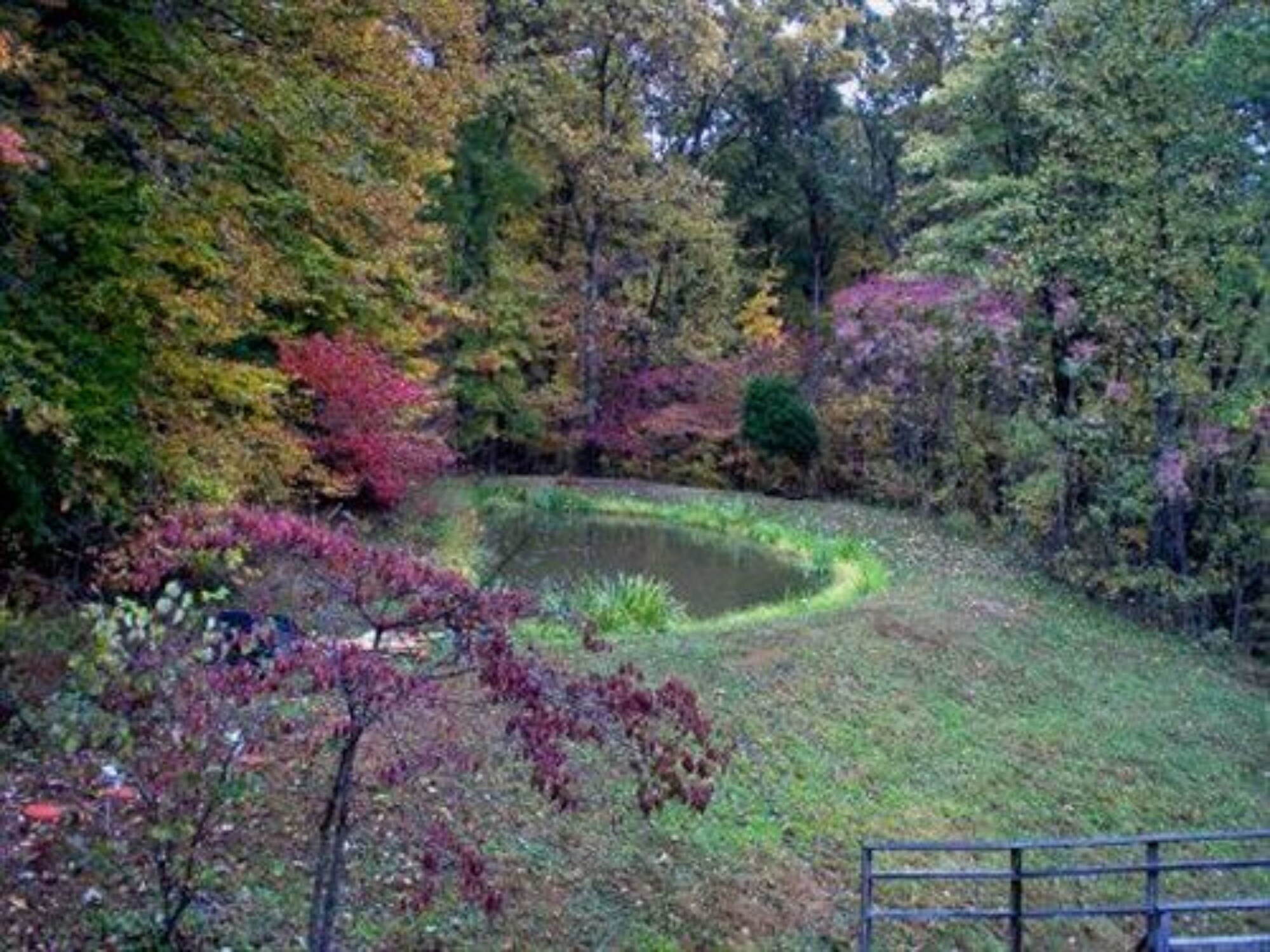 Always Inn Brown County Bed & Breakfast