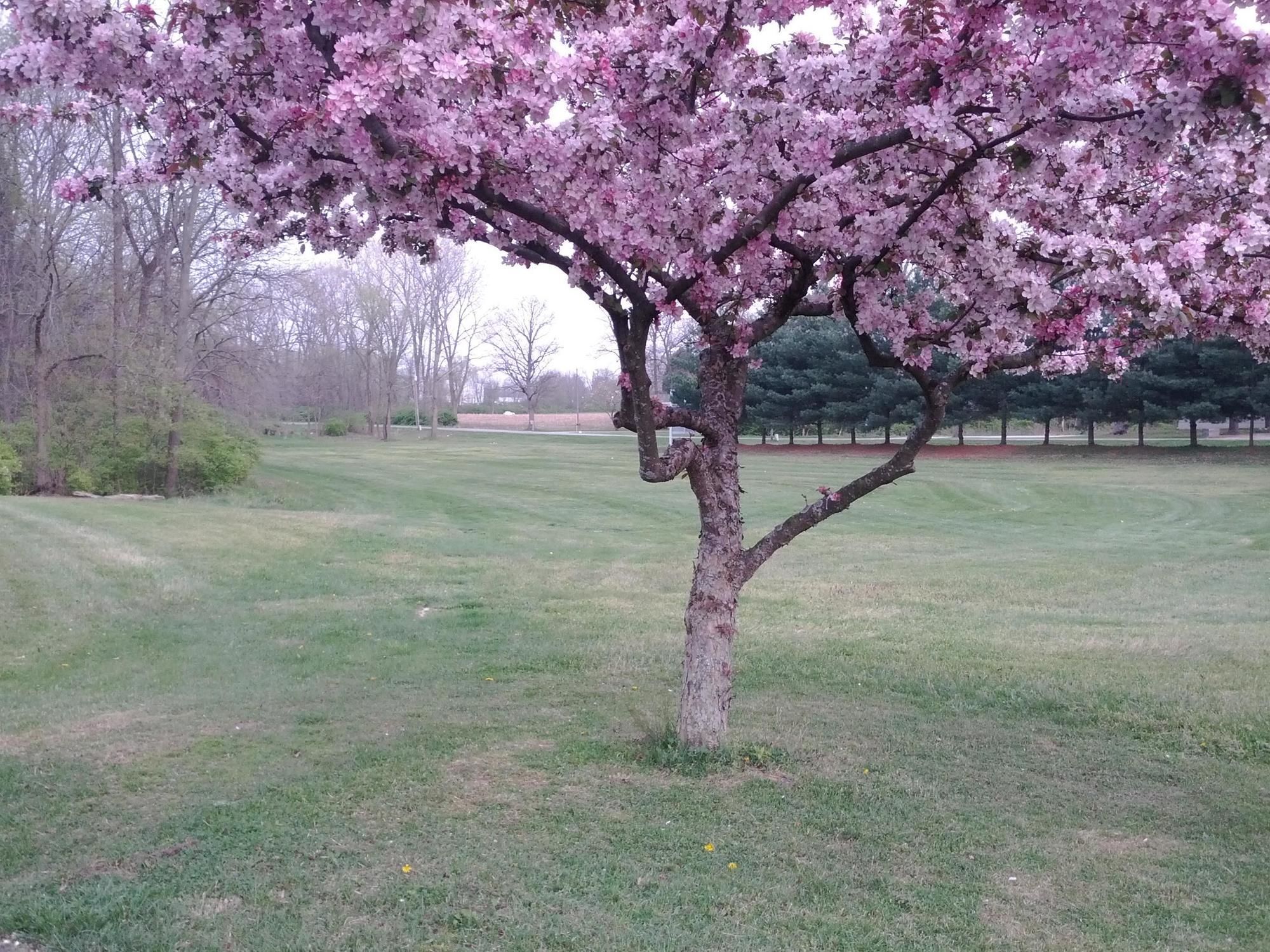 Brook Pointe Inn