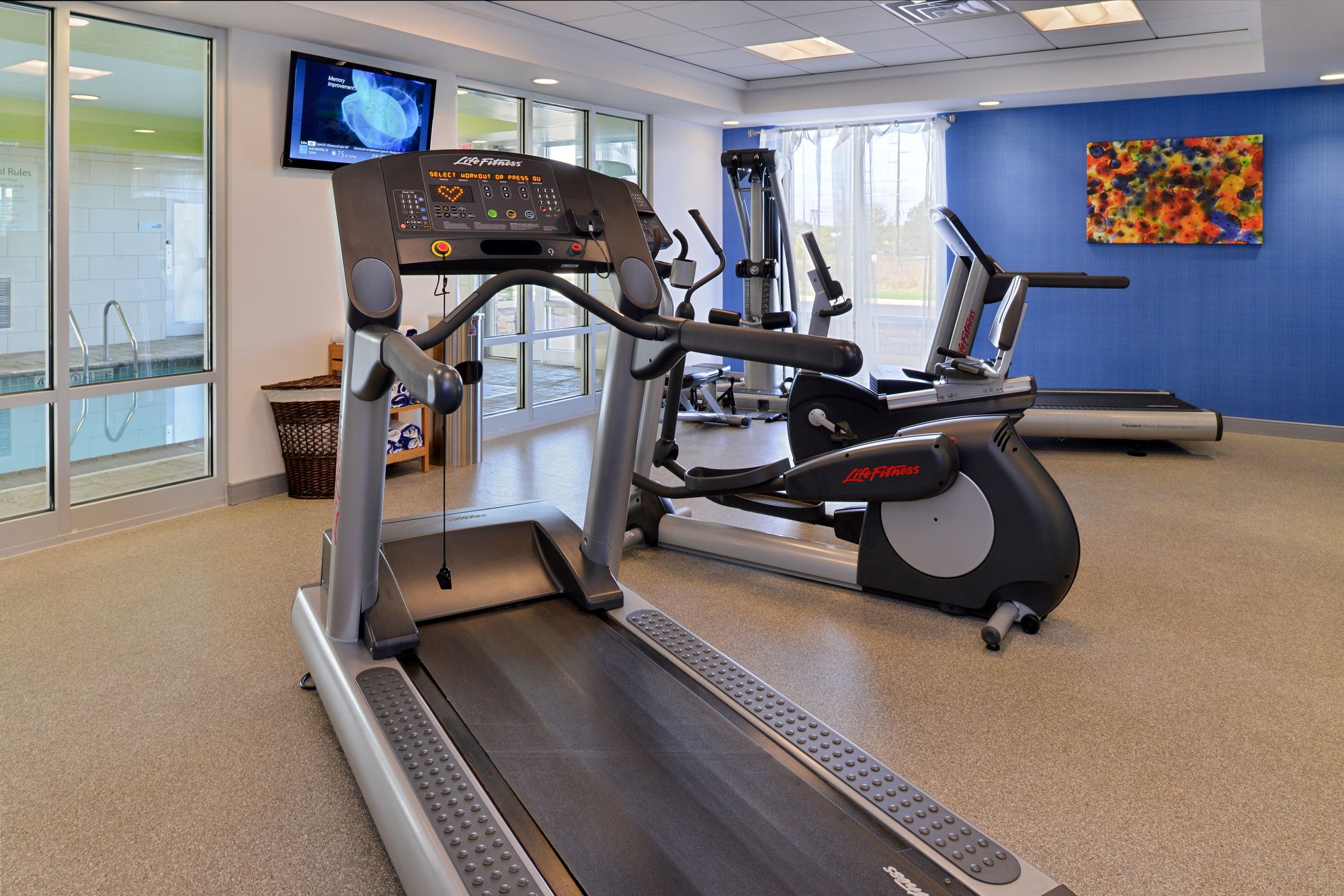 Holiday Inn Express Hotel & Suites Terra Haute