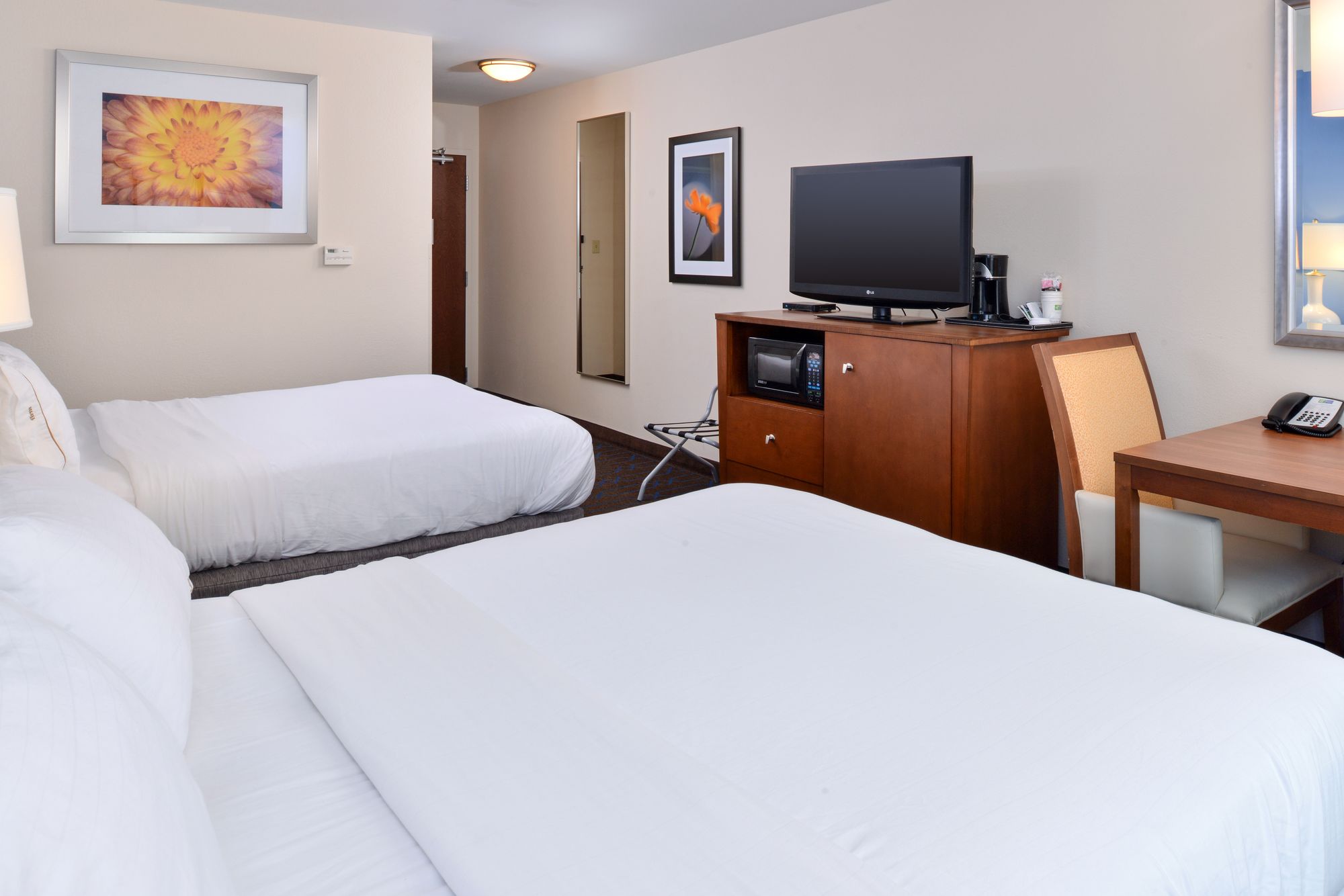 Holiday Inn Express Hotel & Suites Terra Haute