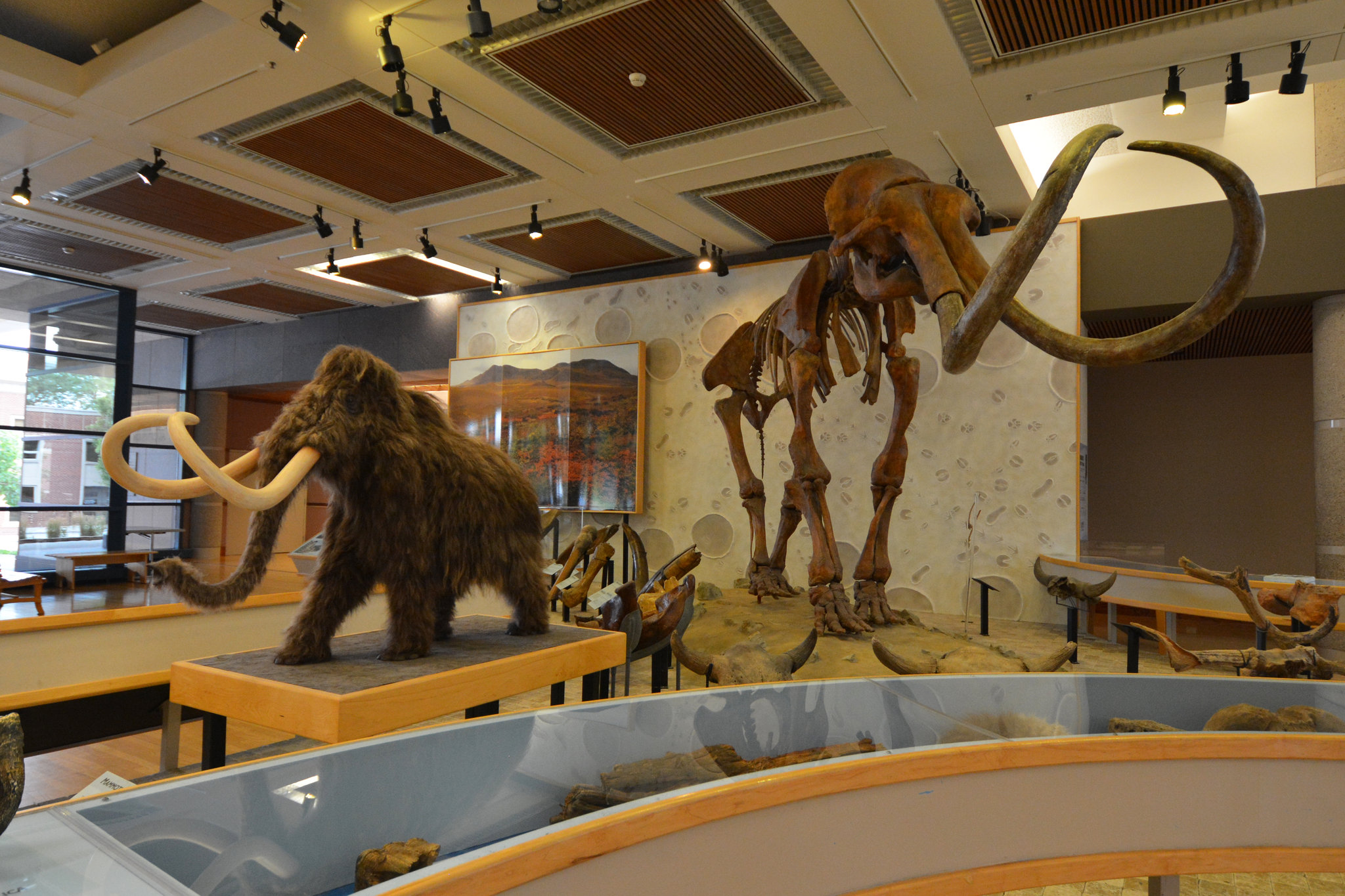 Staybridge Suites Des Moines Downtown