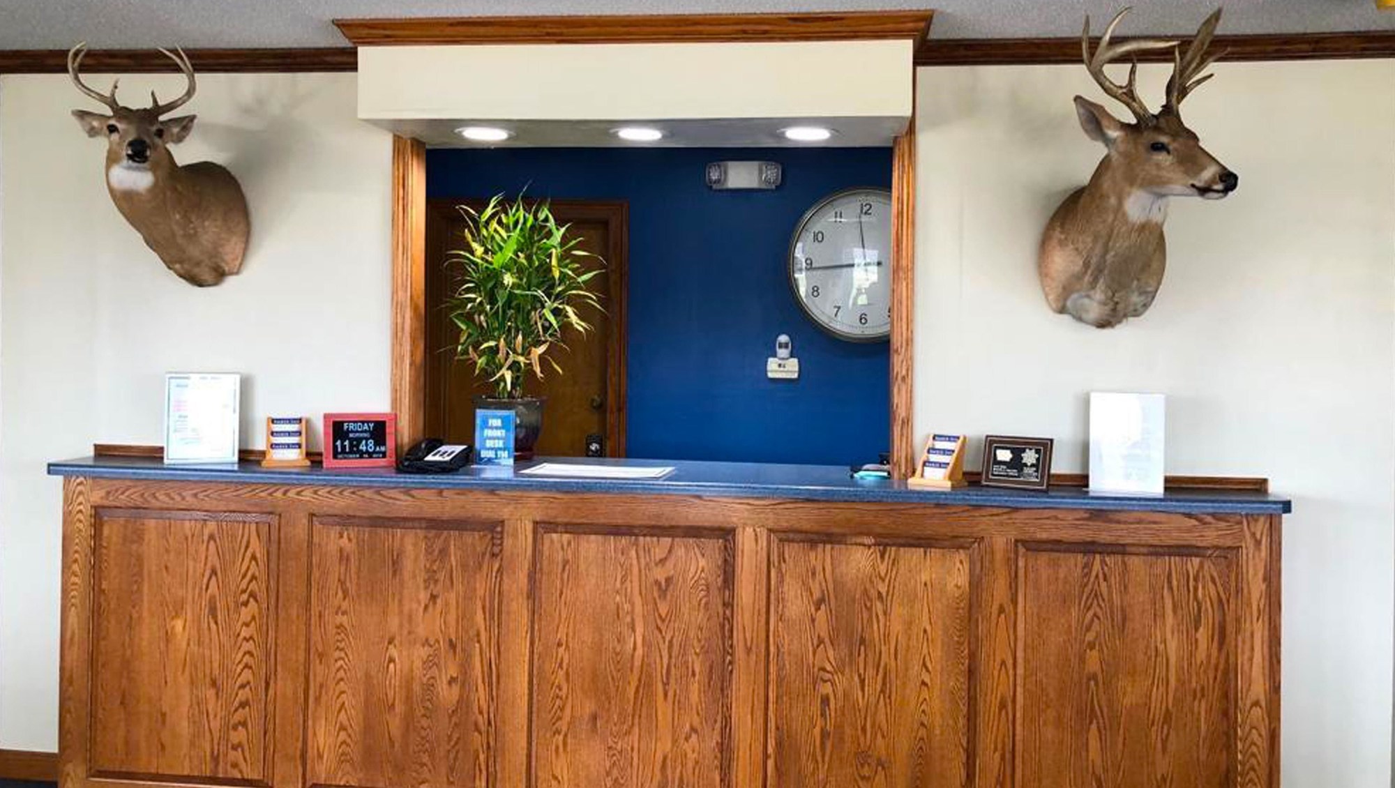 Amber Inn Motel Le Mars