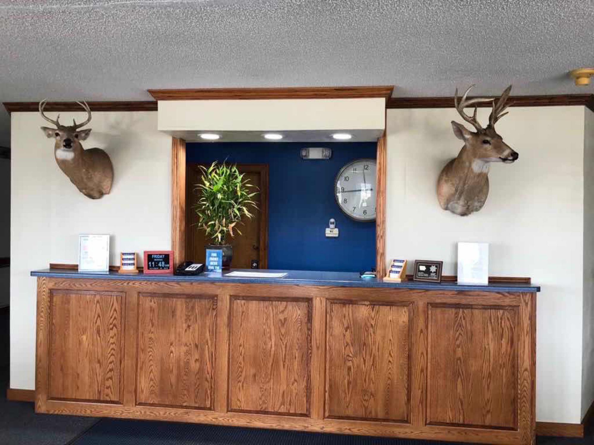 Amber Inn Motel Le Mars