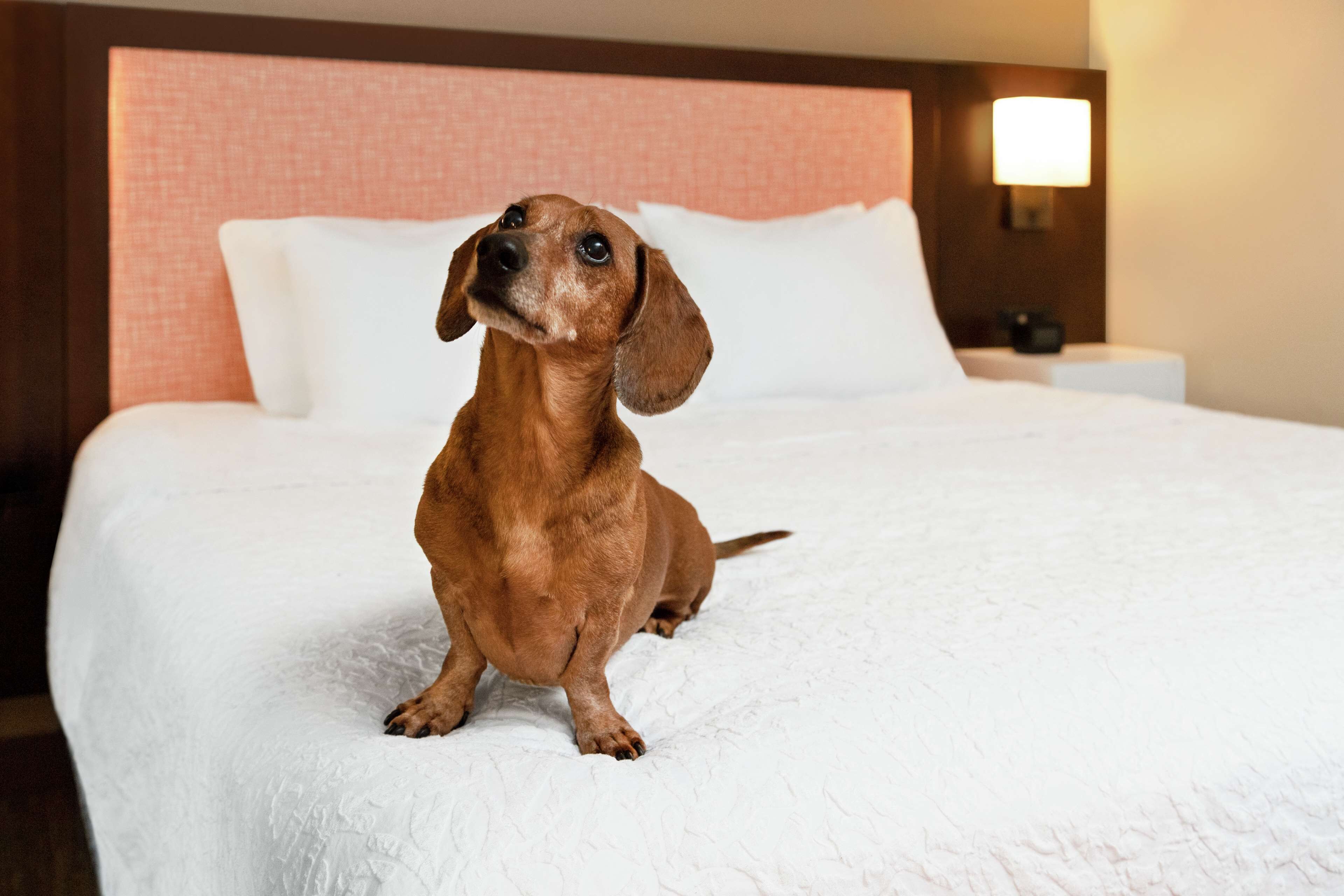 Hampton Inn & Suites Overland Park South