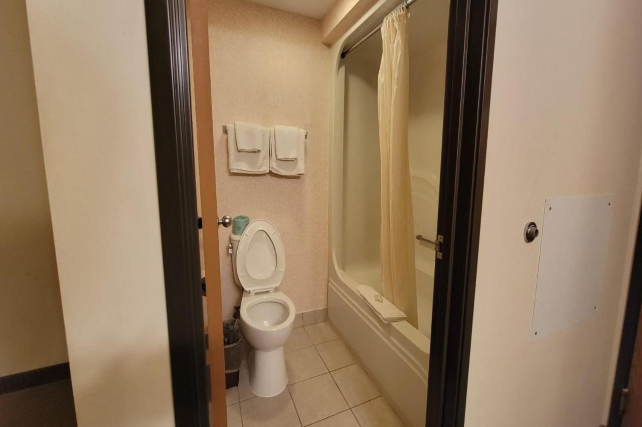 Single Tree Inn Hotel O