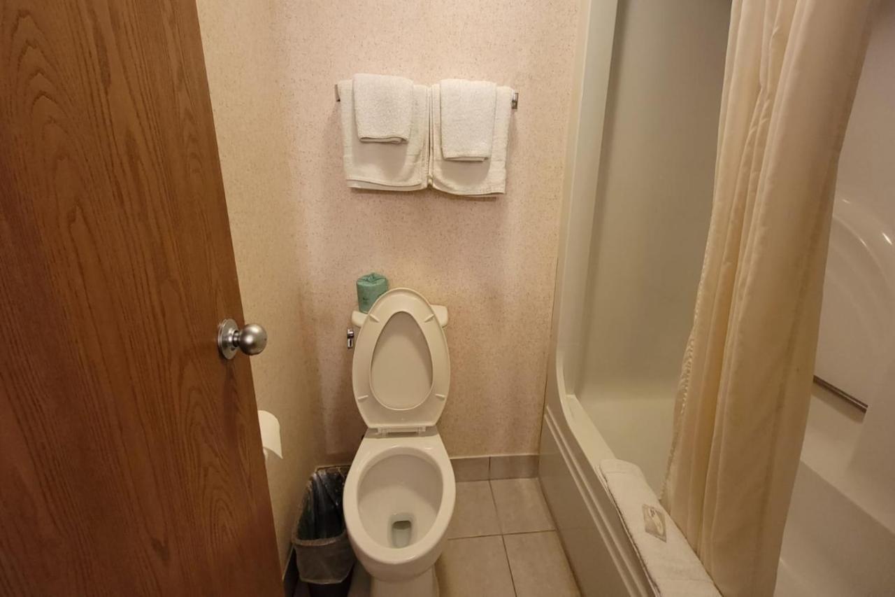 Single Tree Inn Hotel O