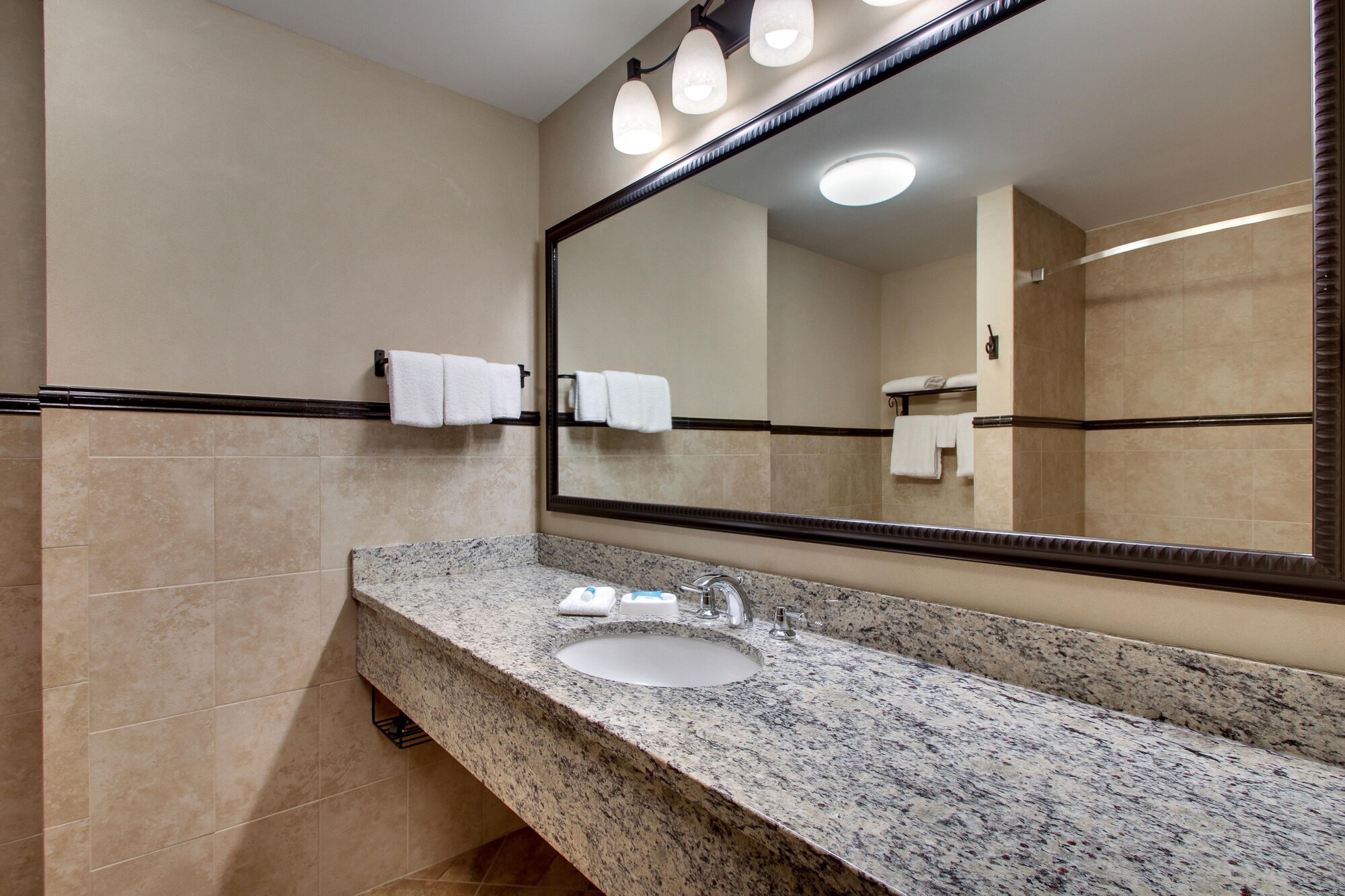 Drury Plaza Hotel Broadview Wichita