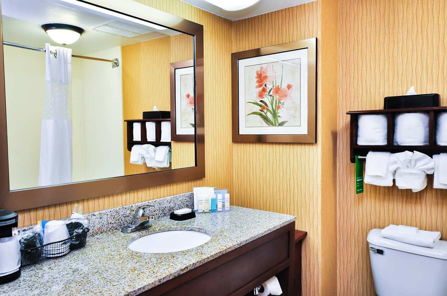 Hampton Inn Carrollton