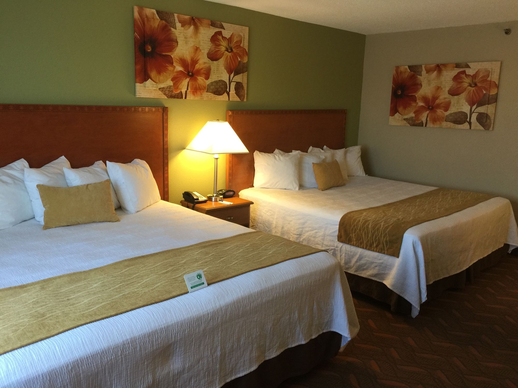 Greenfield Inn & Suites Elizabethtown, KY I65 Exit 94