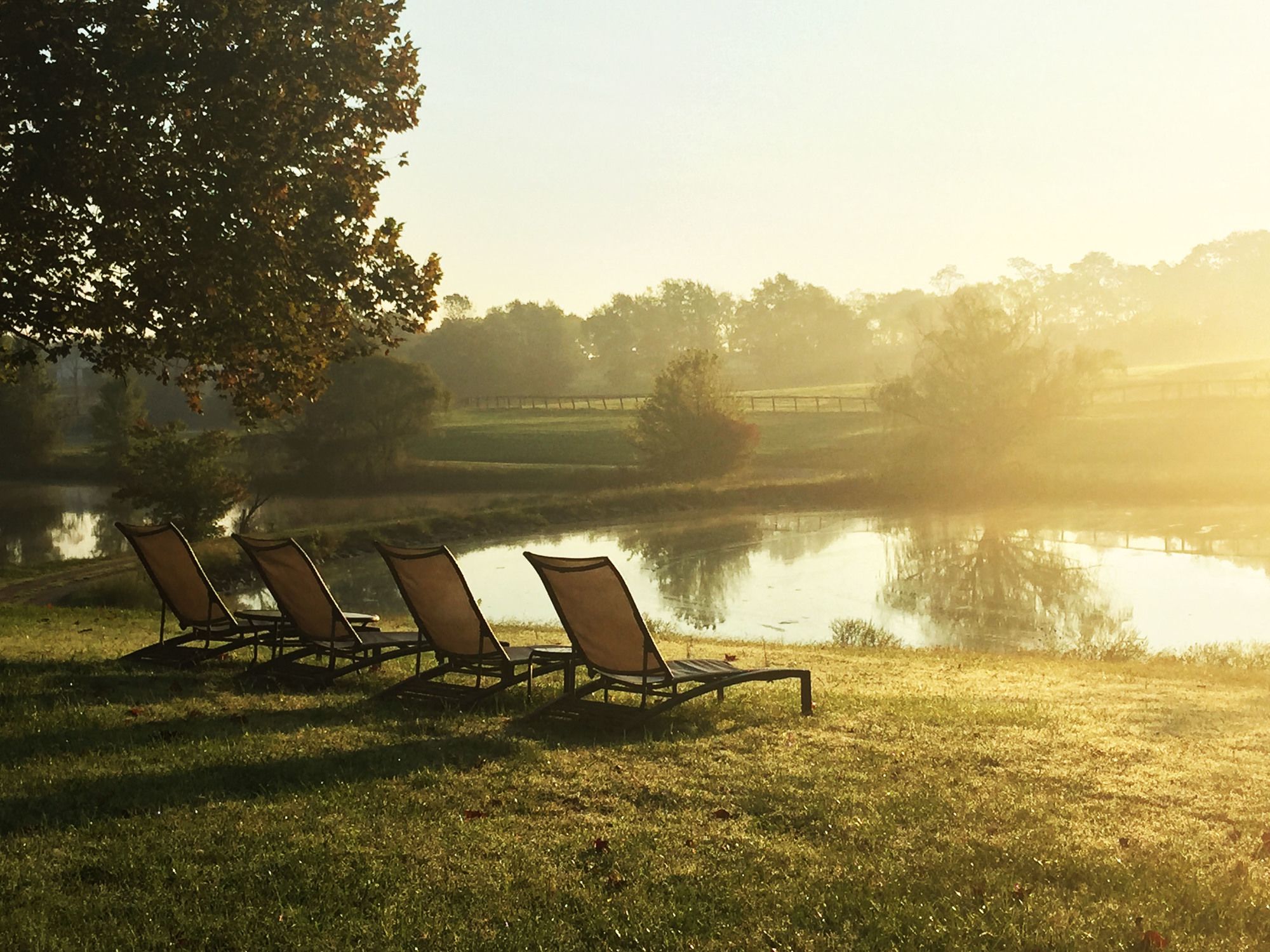 The B & B at Queenslake