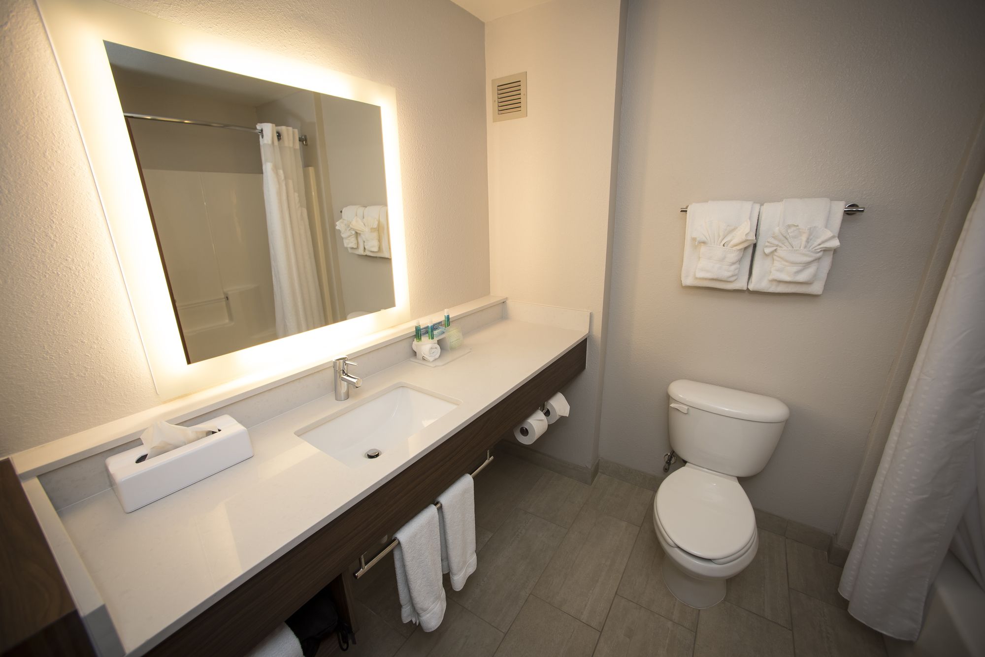 Holiday Inn Express & Suites Lexington-Downtown/University