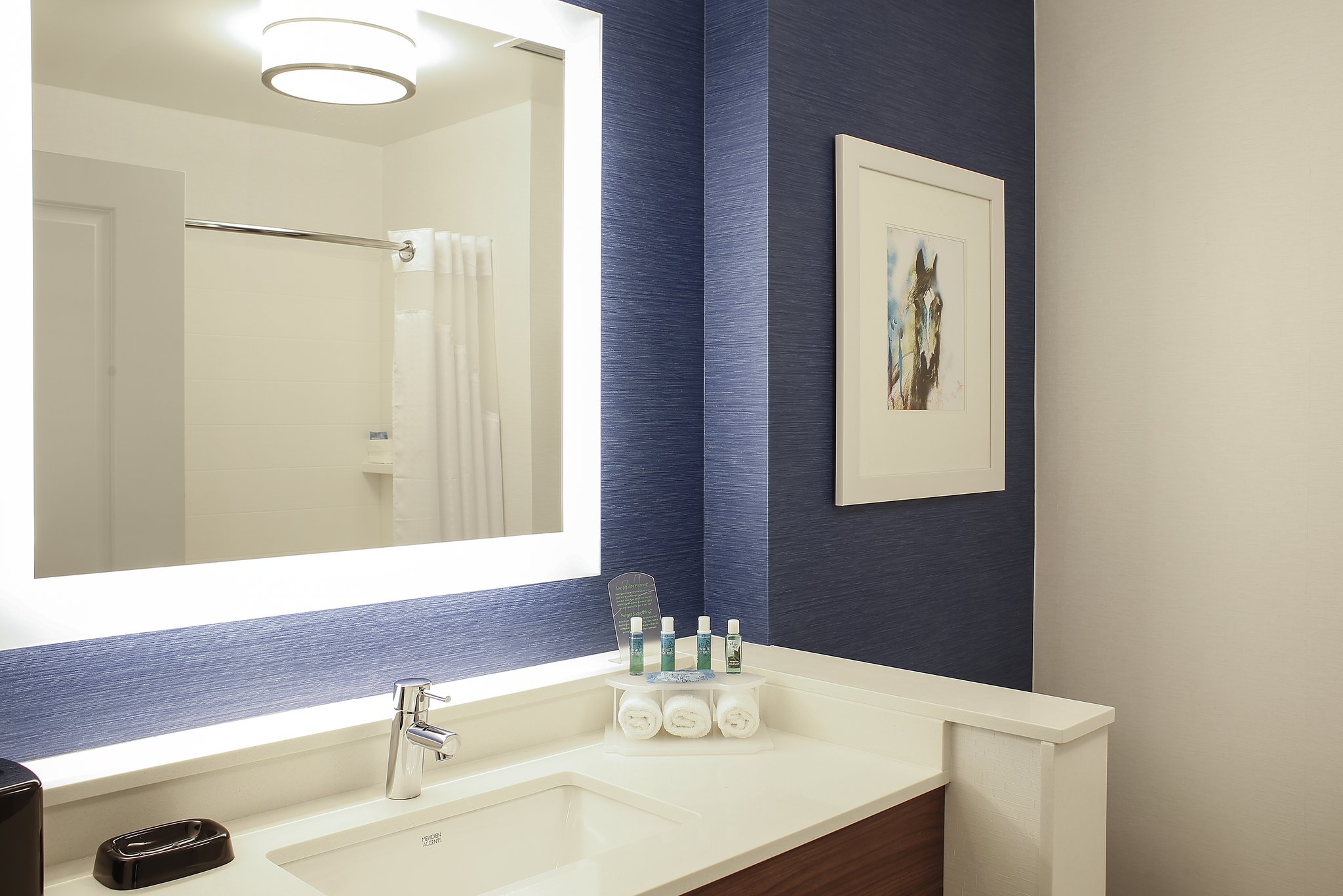 Holiday Inn Express & Suites Louisville Downtown