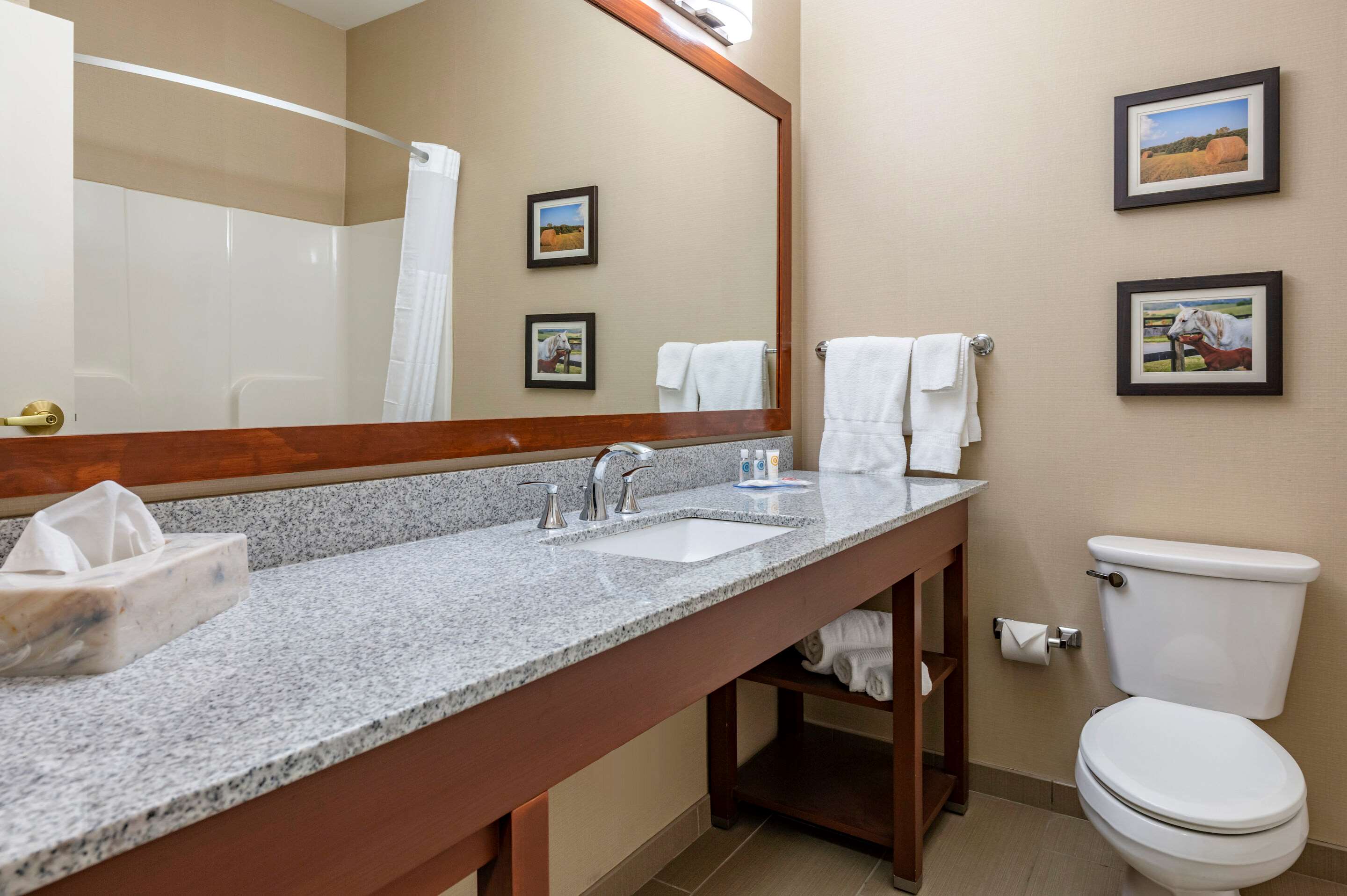 Comfort Inn & Suites Northern Kentucky