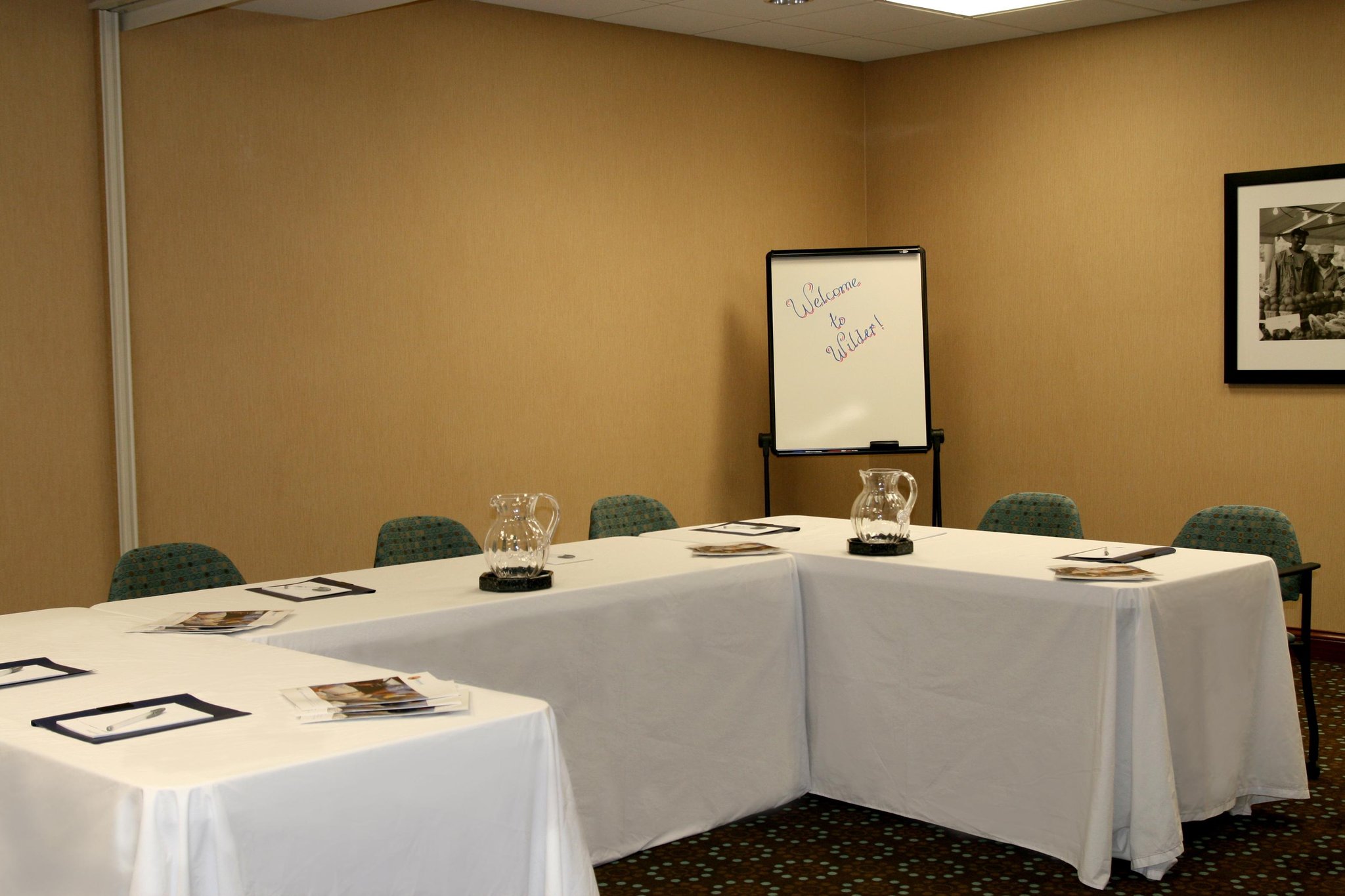 Hampton Inn and Suites Wilder