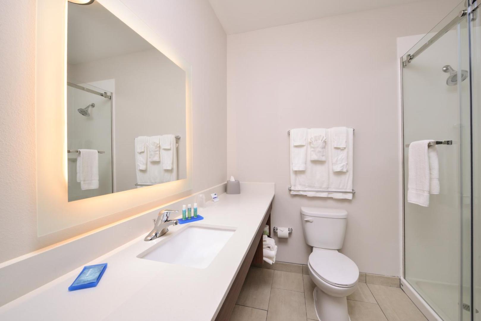 Holiday Inn Express Donaldsonville