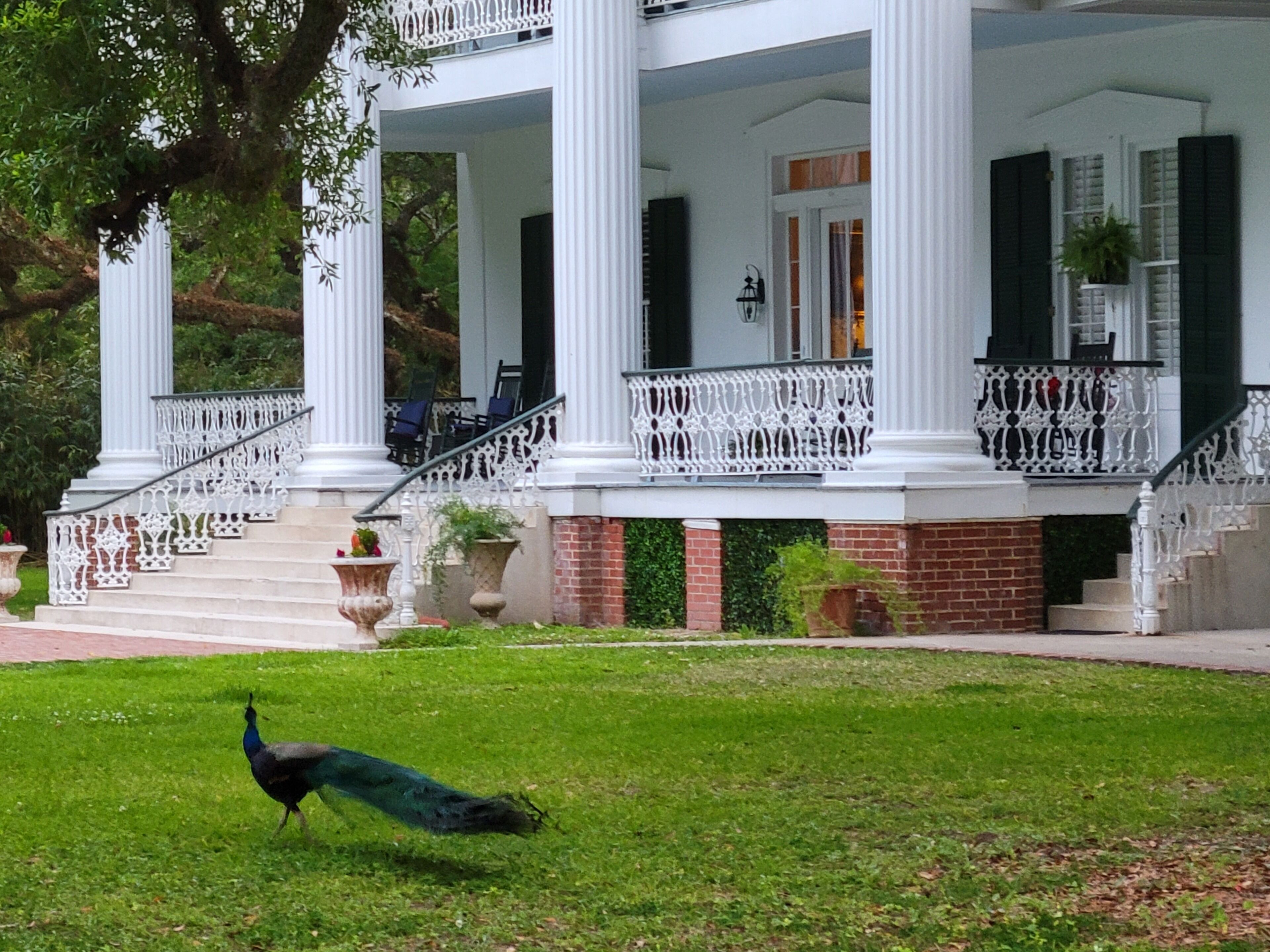 The Fairfax House