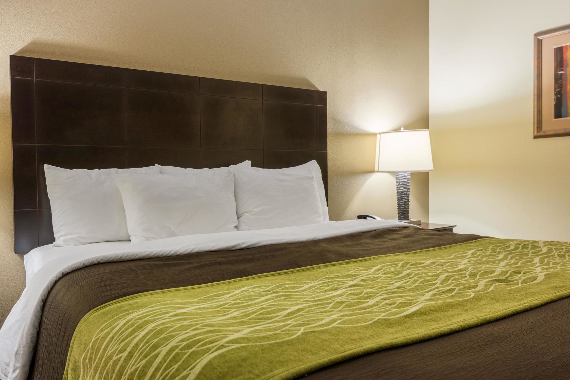 Comfort Inn And Suites
