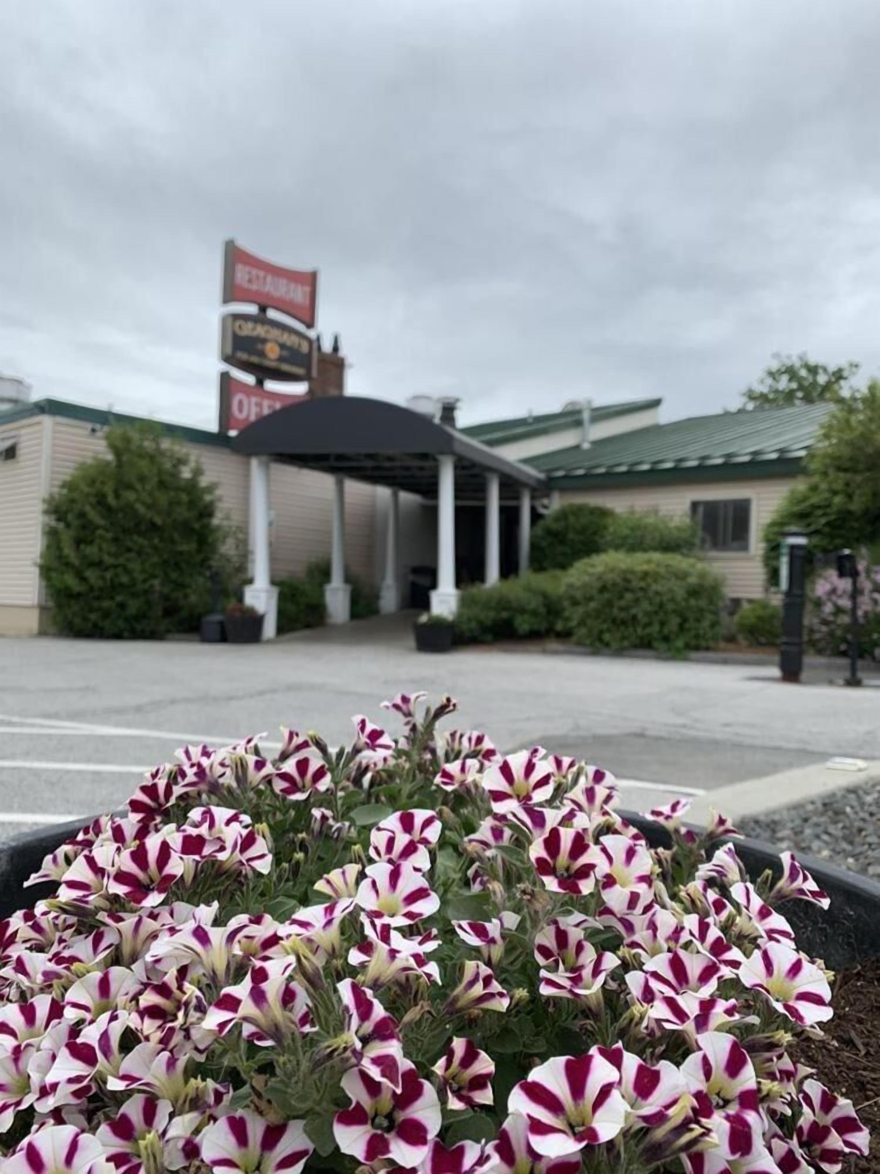 Fireside Inn & Suiten